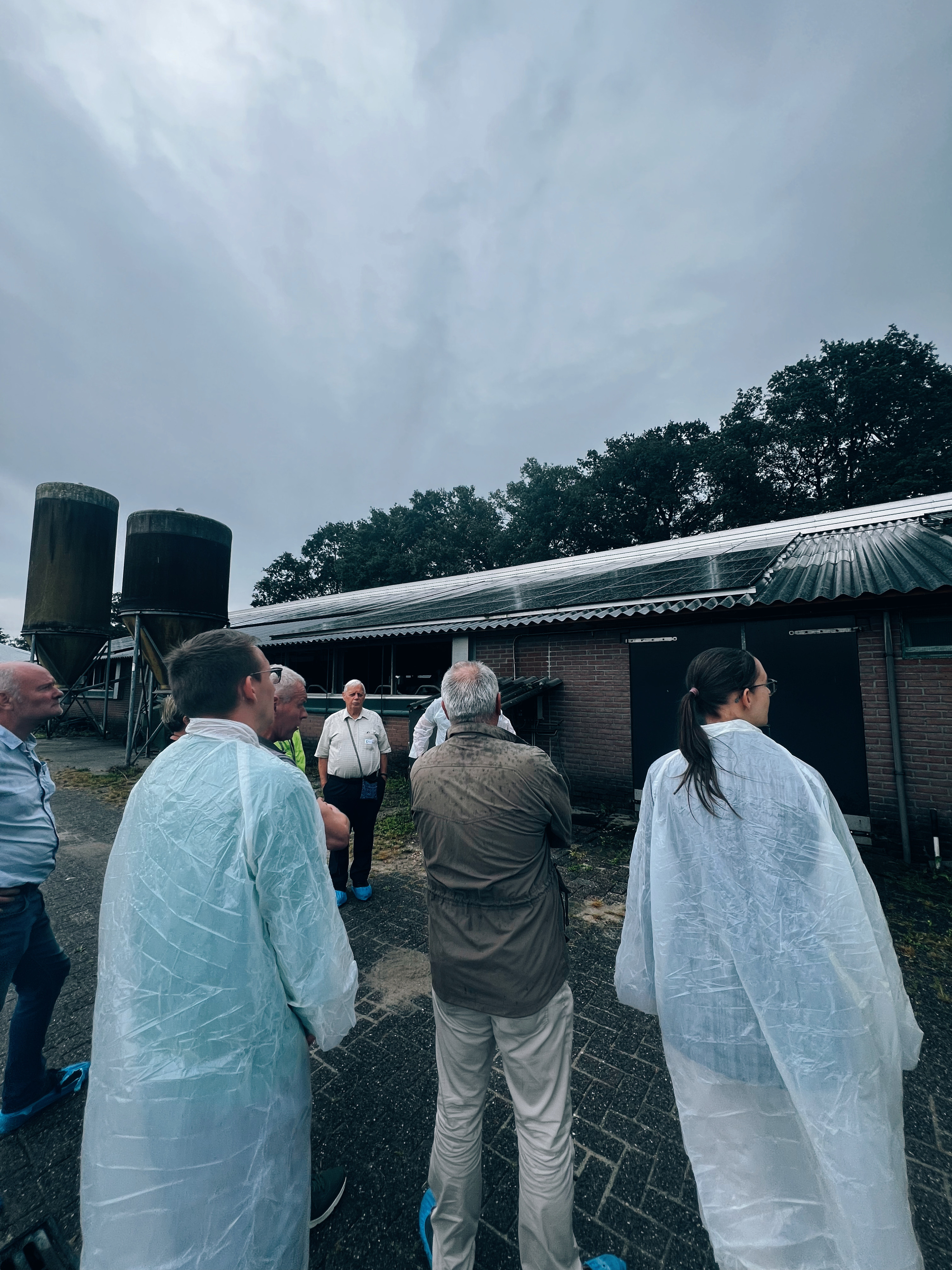 zonnepanelen op de koeienstal