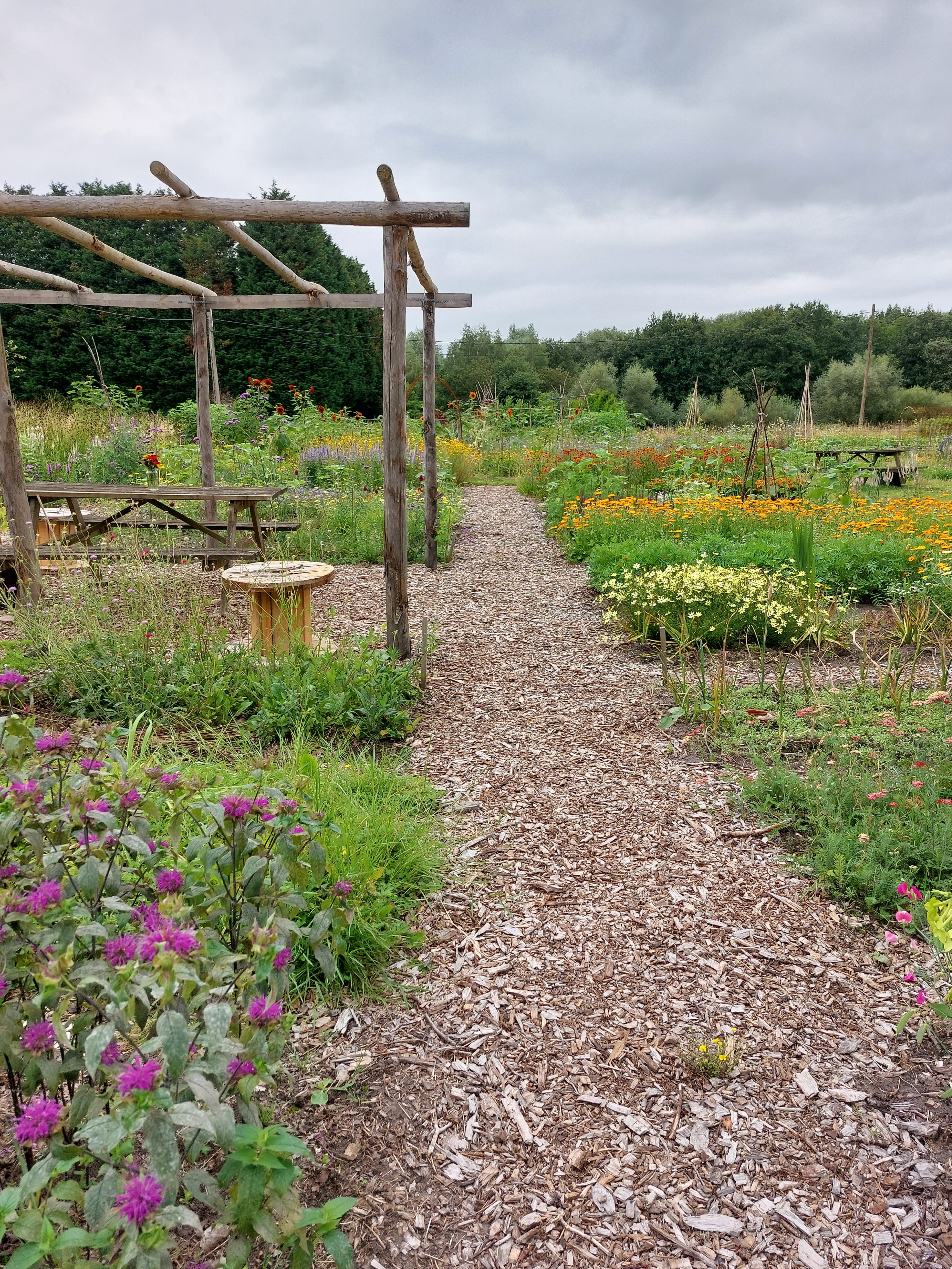 Tuin Ter Kruyslanden