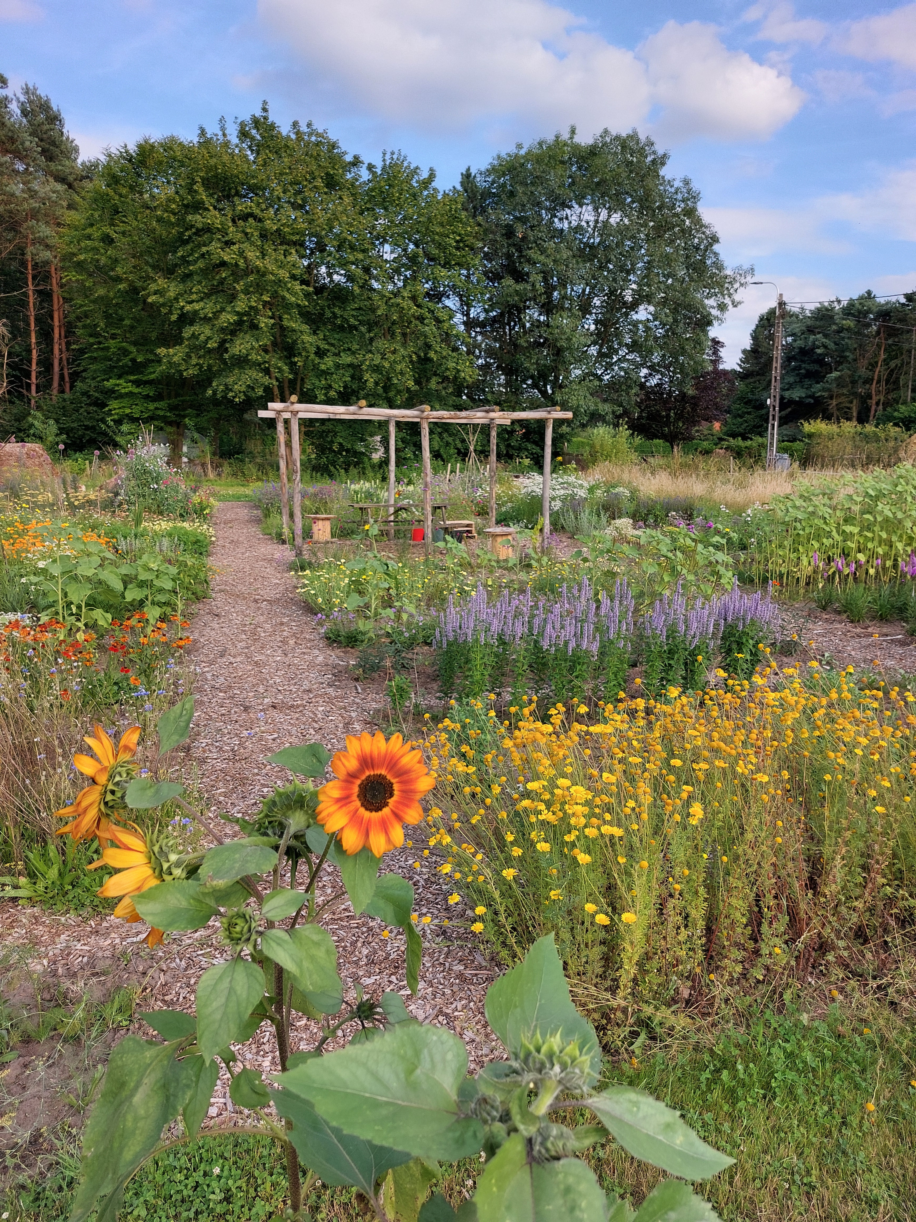 Tuin Ter Kruyslanden