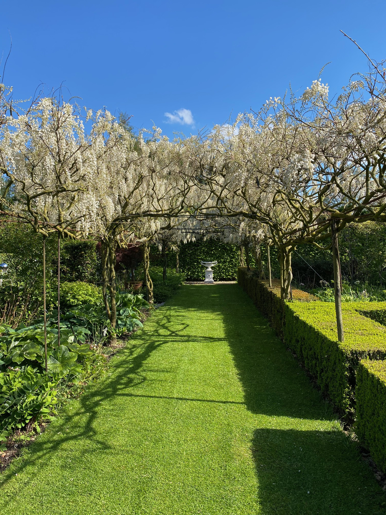 Tuin Meiraenhof