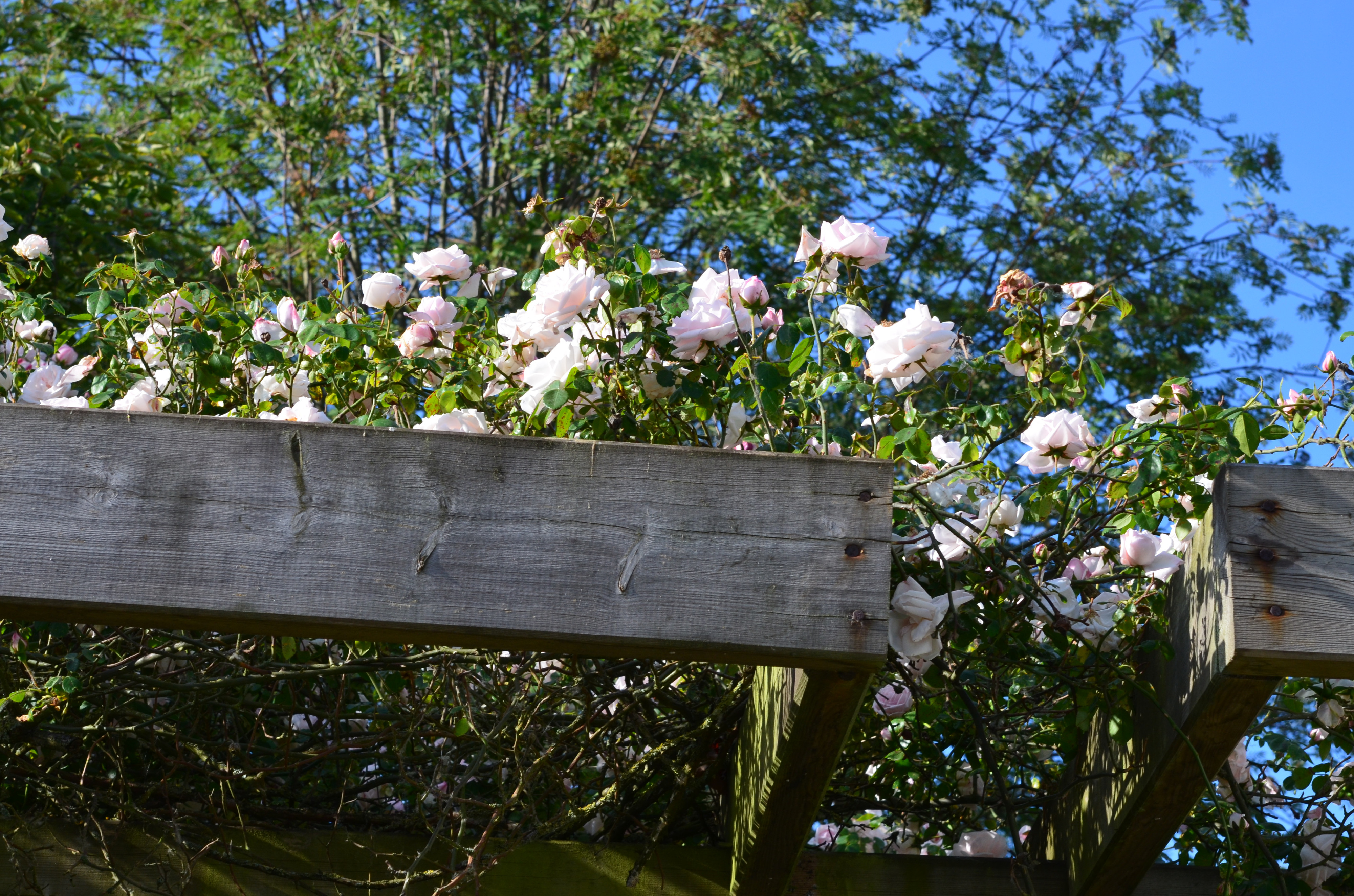 Tuin Marc Vermeulen