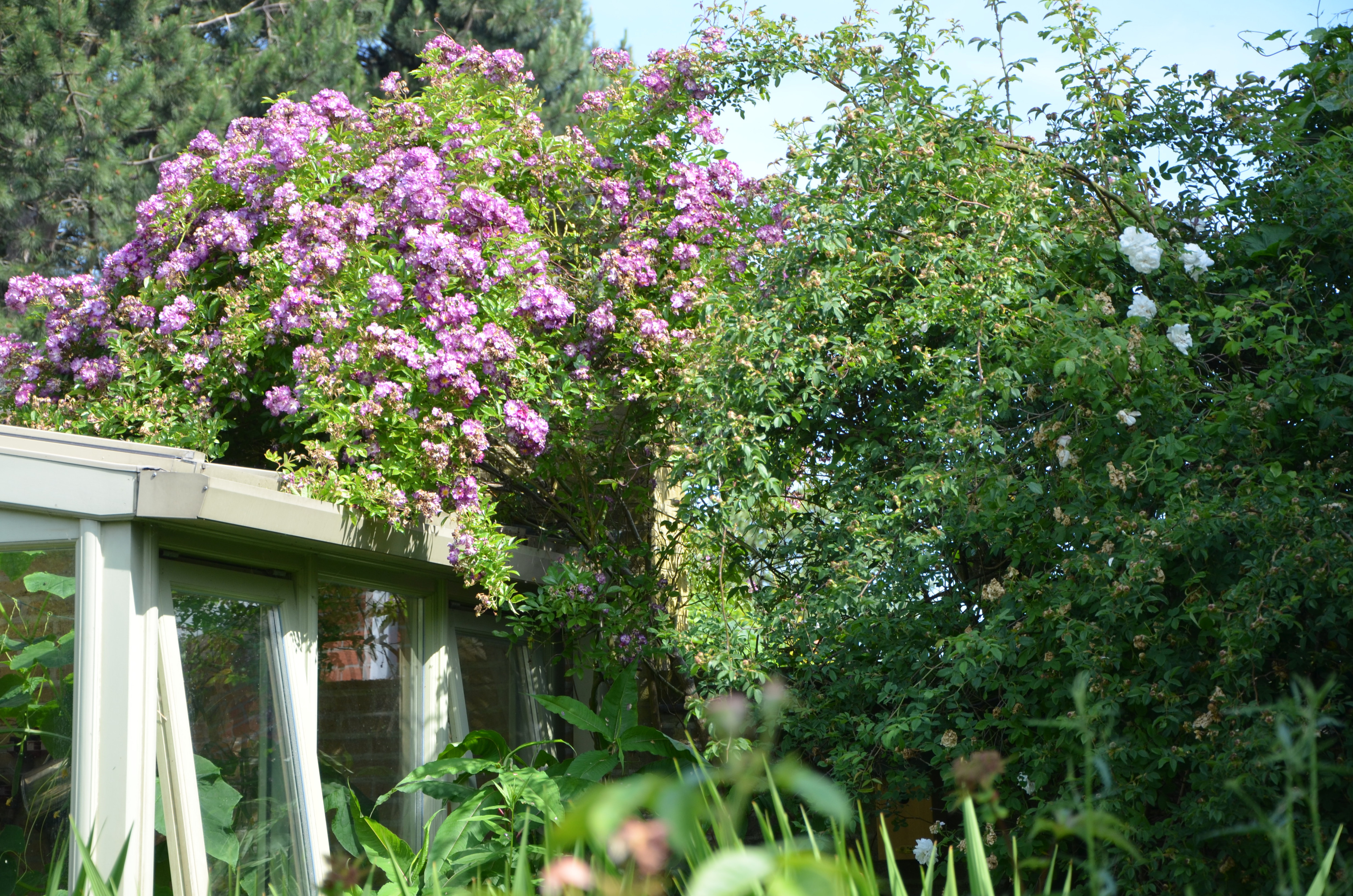 Tuin Marc Vermeulen