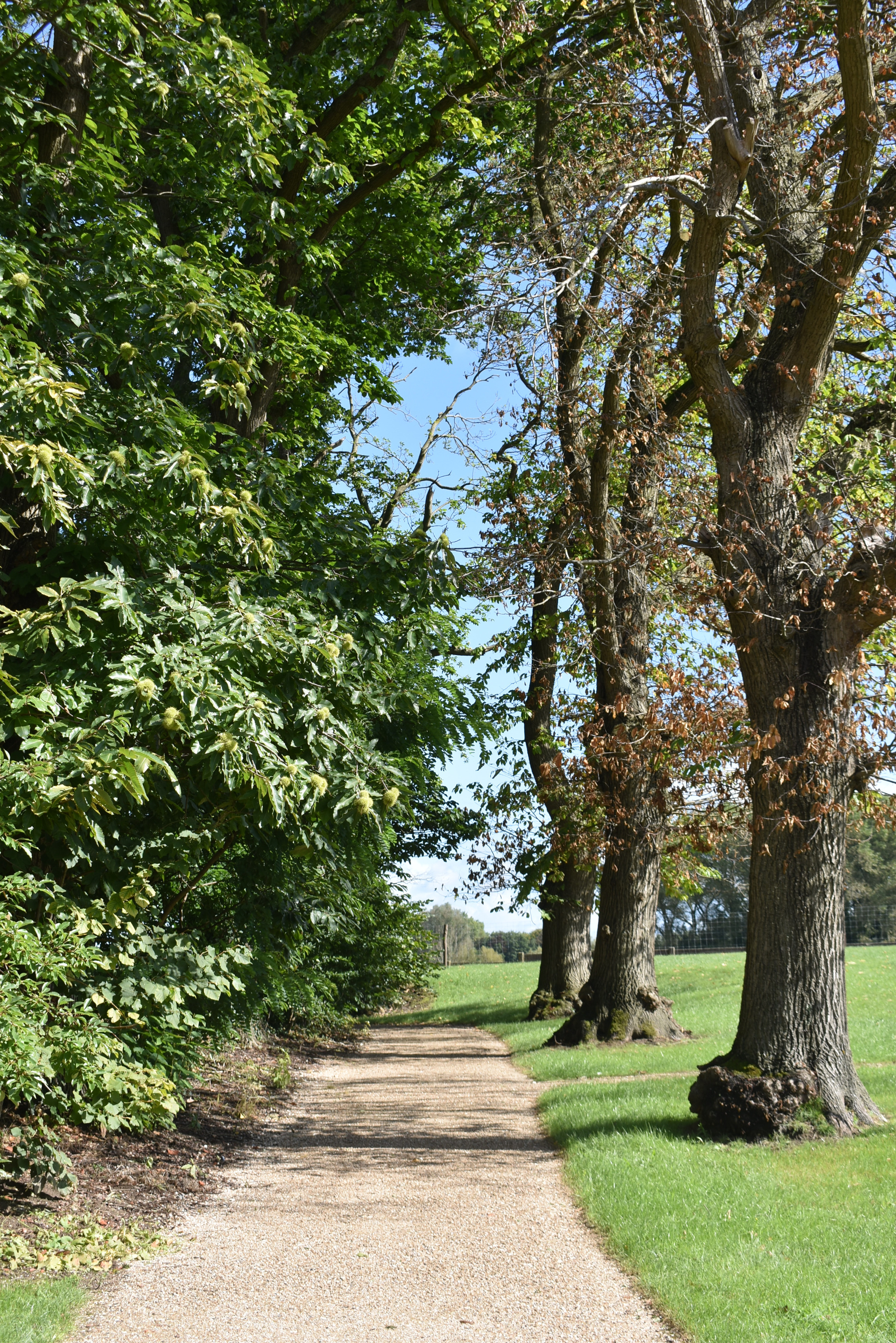 Tuin Poaters &#039;n hof 