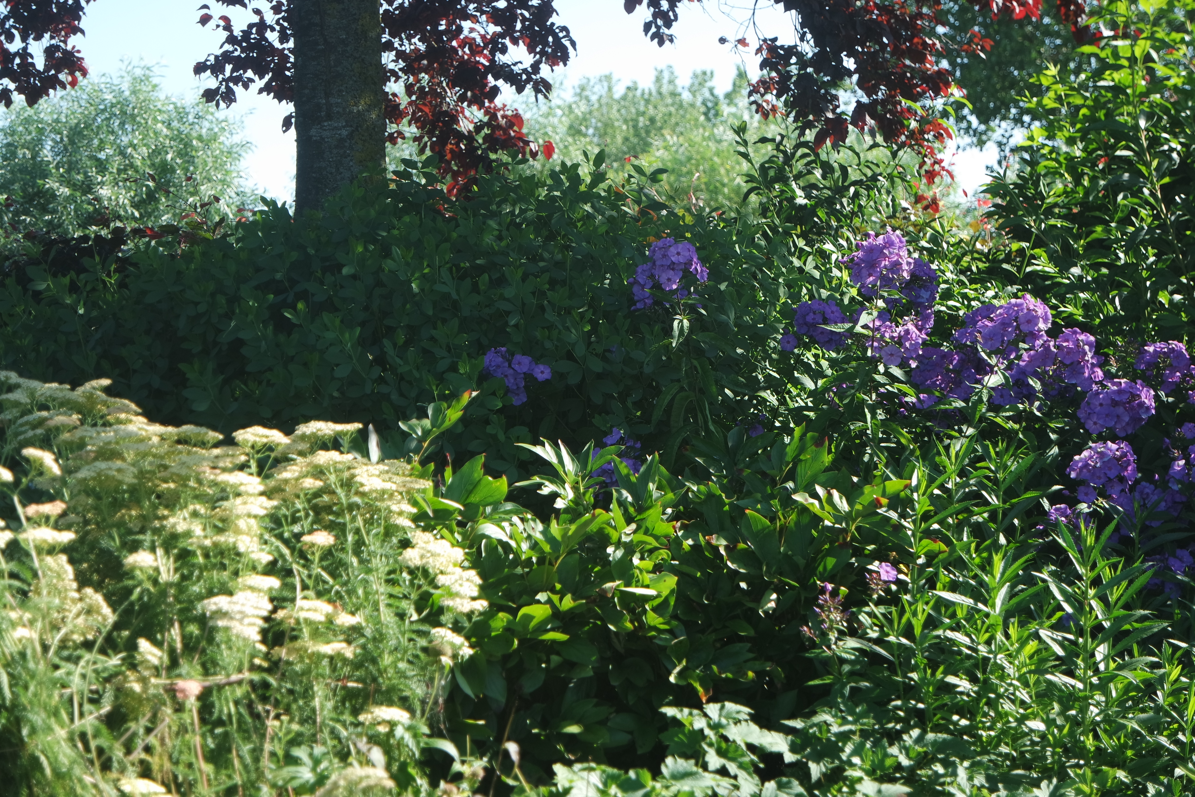 Tuin Dirk en Maria Stuer - Van Raemdonck