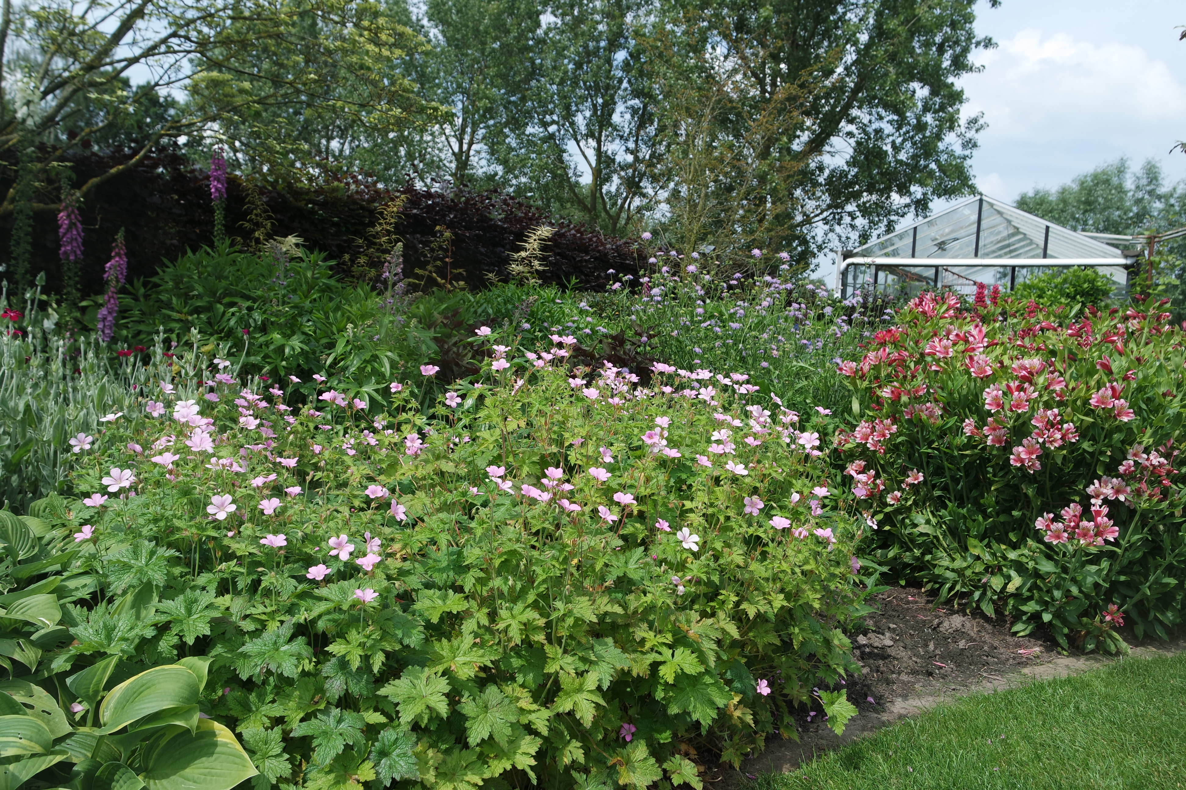 Tuin Dirk en Maria Stuer - Van Raemdonck