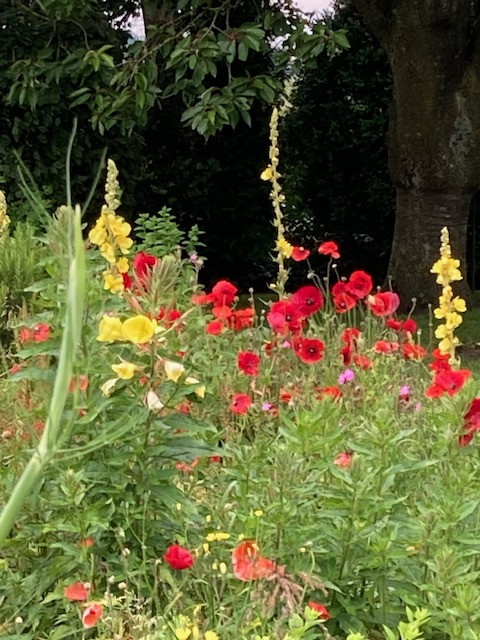 Tuin Fam. Govaert -De Bock