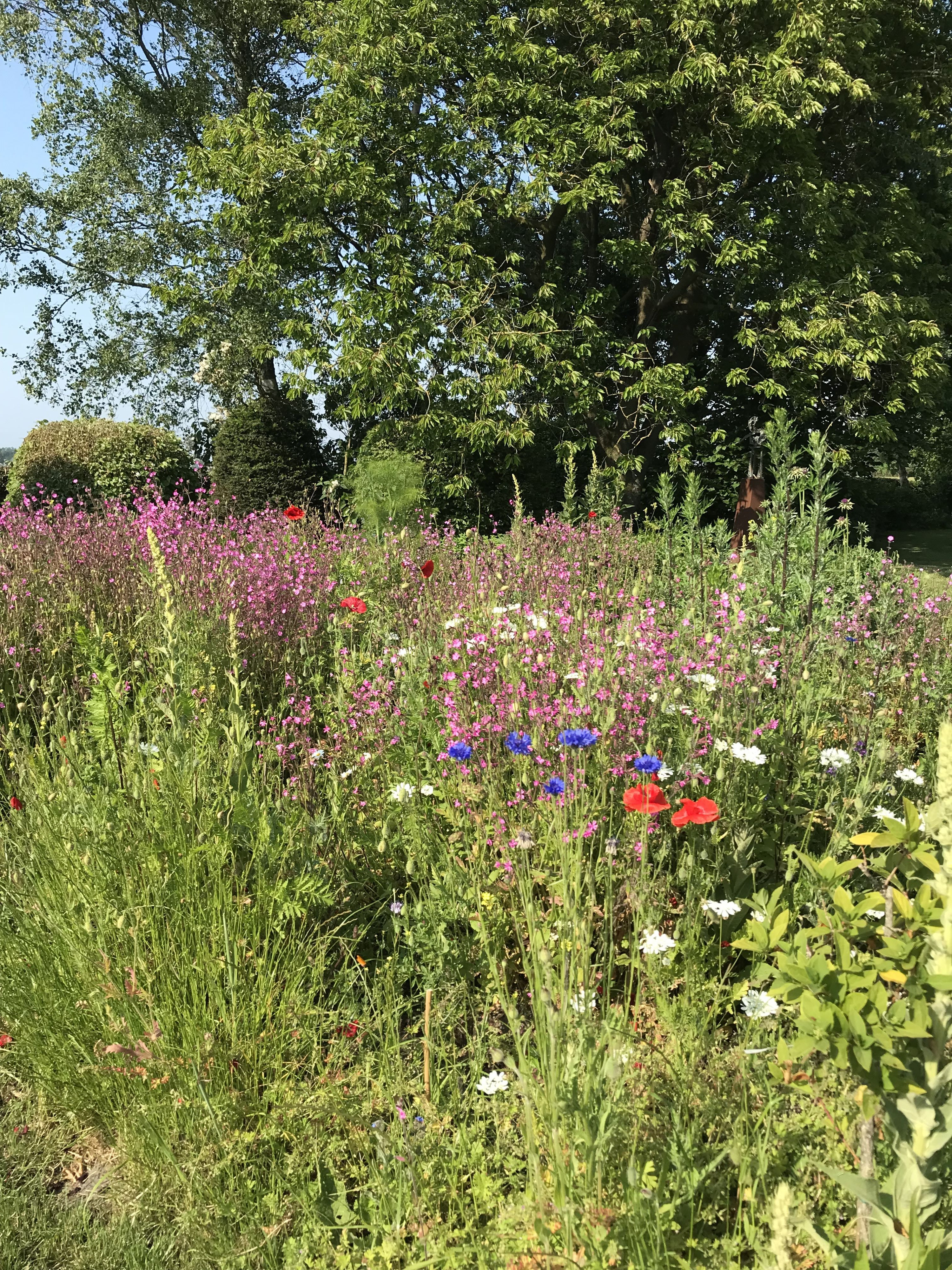 Tuin Fam. Govaert -De Bock