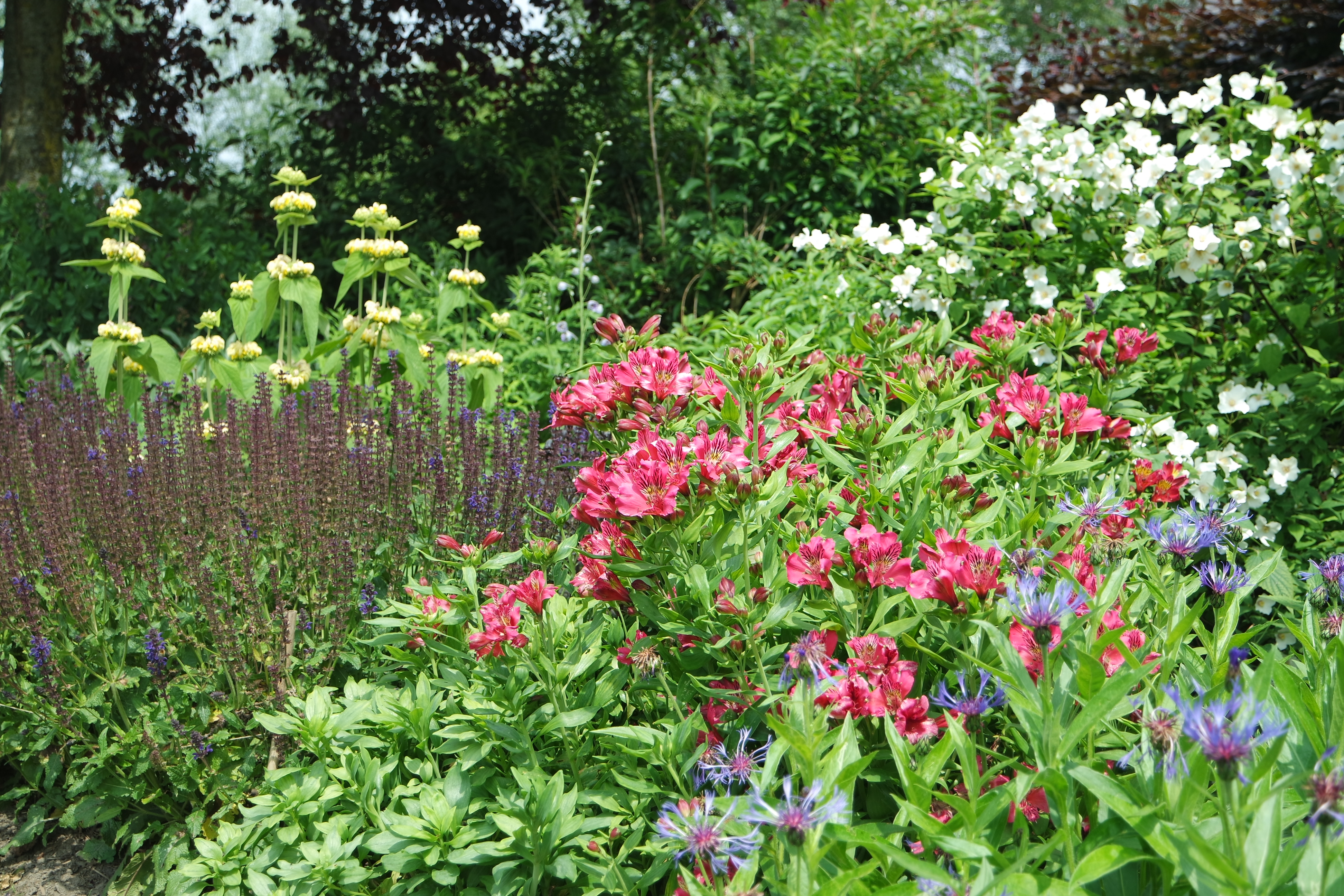 Tuin Dirk en Maria Stuer - Van Raemdonck