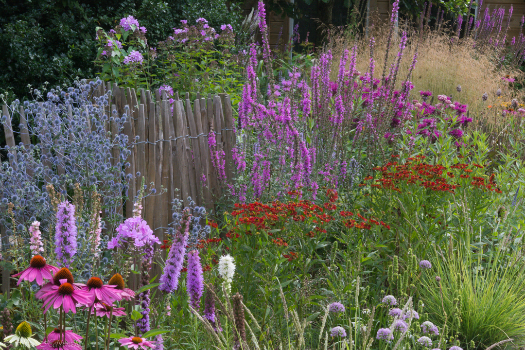 Tuin Luc en Carine