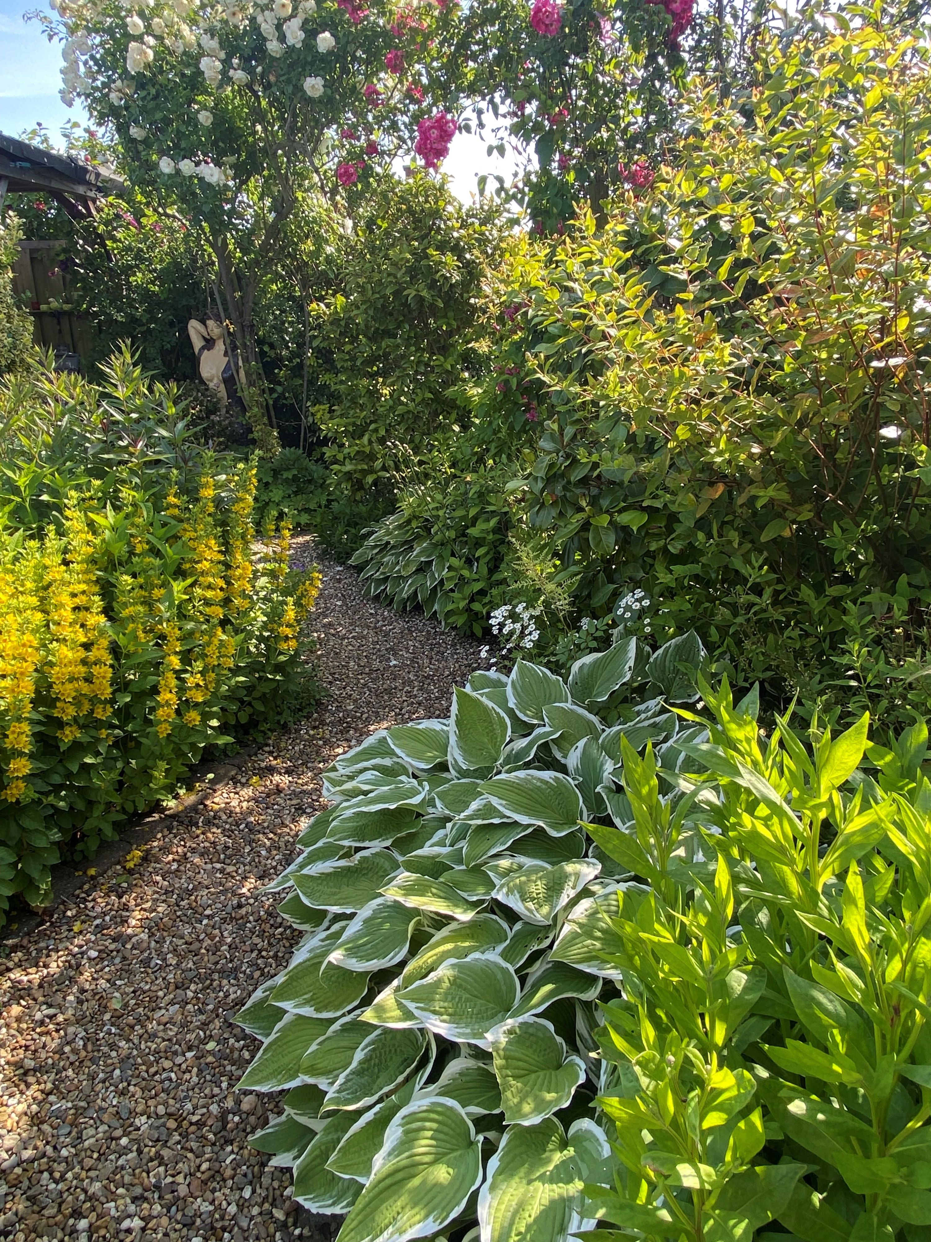 Tuin Van Nieuwenhuyze - Loir