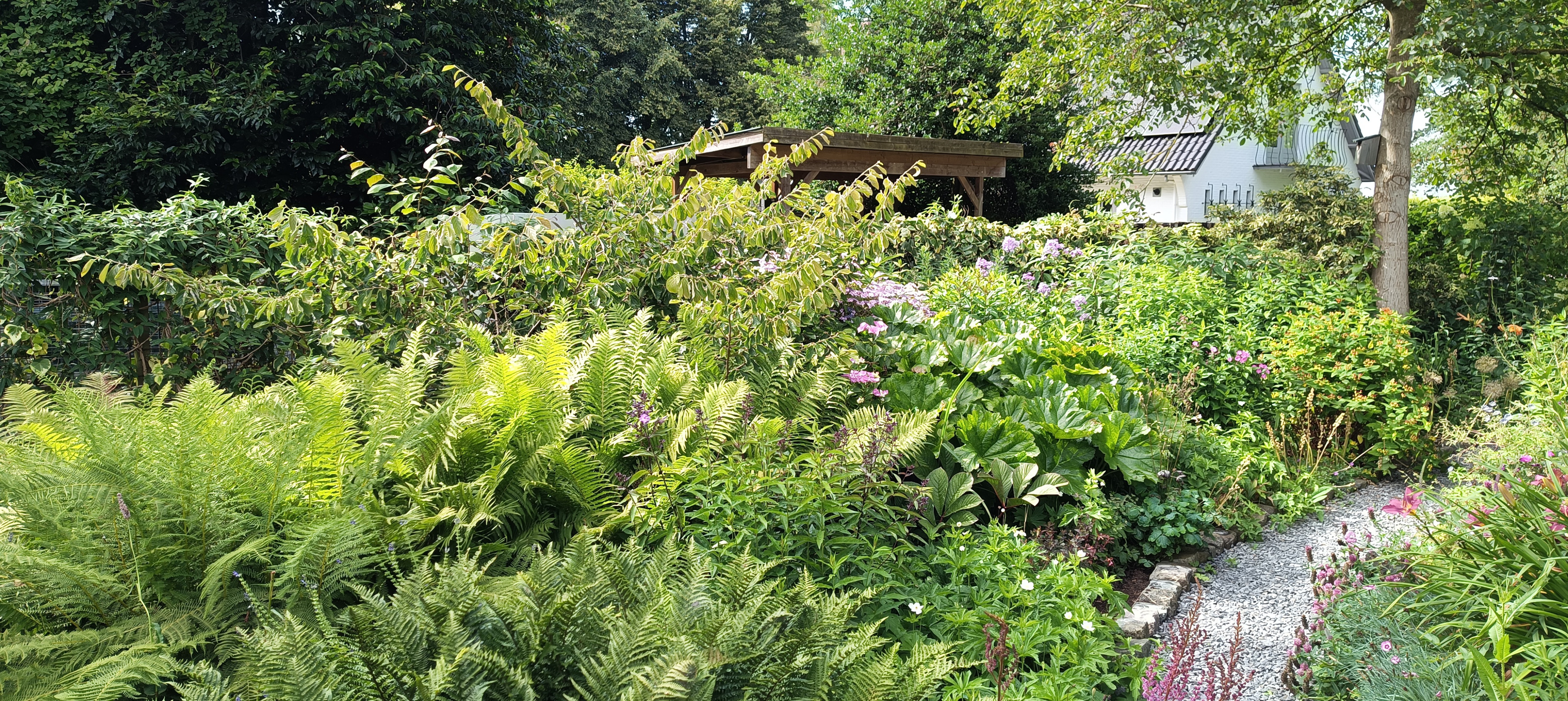 Tuin Taraxacum &amp; Urtica