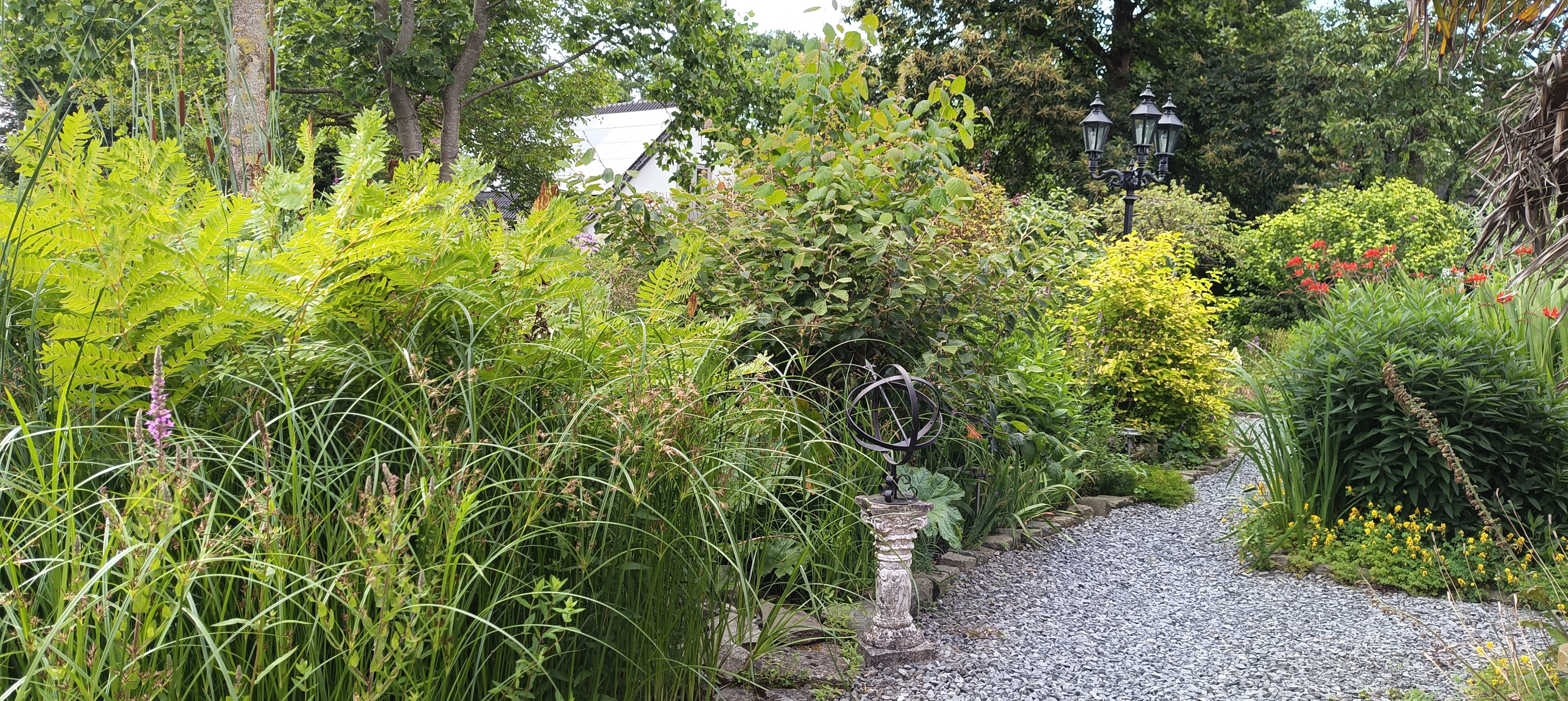 Tuin Taraxacum &amp; Urtica