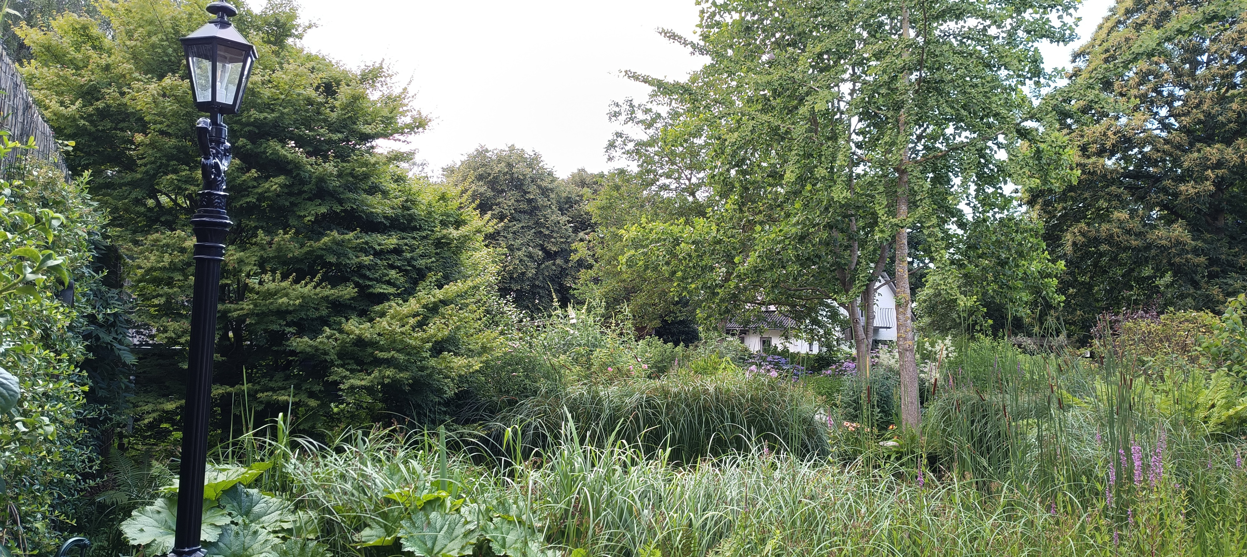 Tuin Taraxacum &amp; Urtica