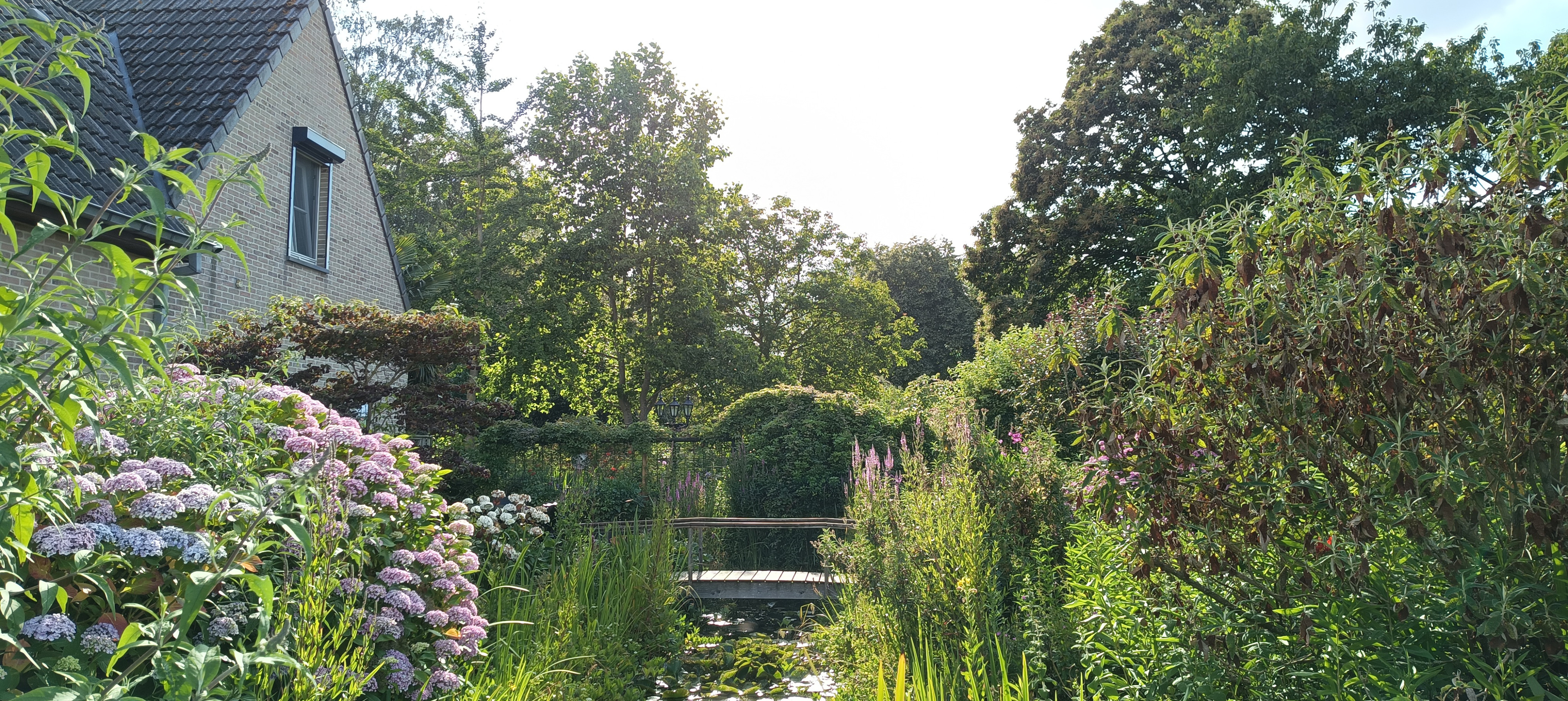 Tuin Taraxacum &amp; Urtica