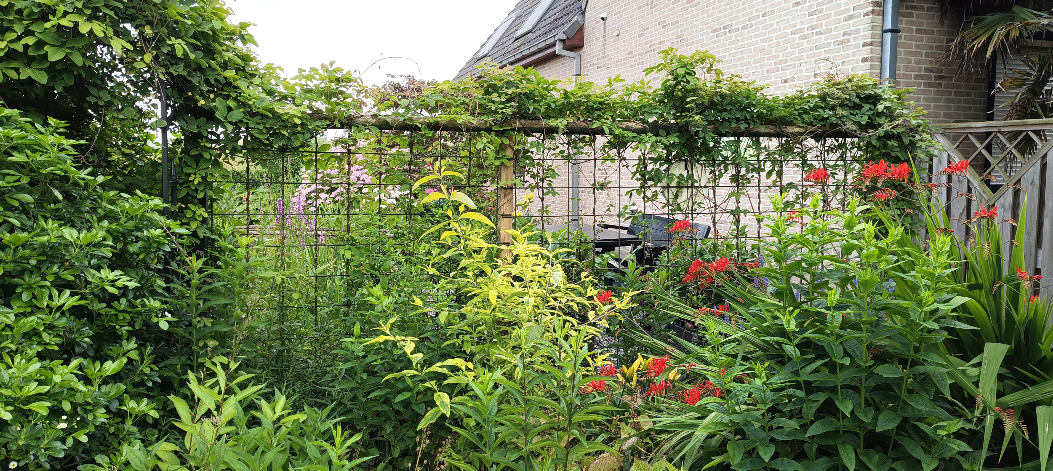 Tuin Taraxacum &amp; Urtica