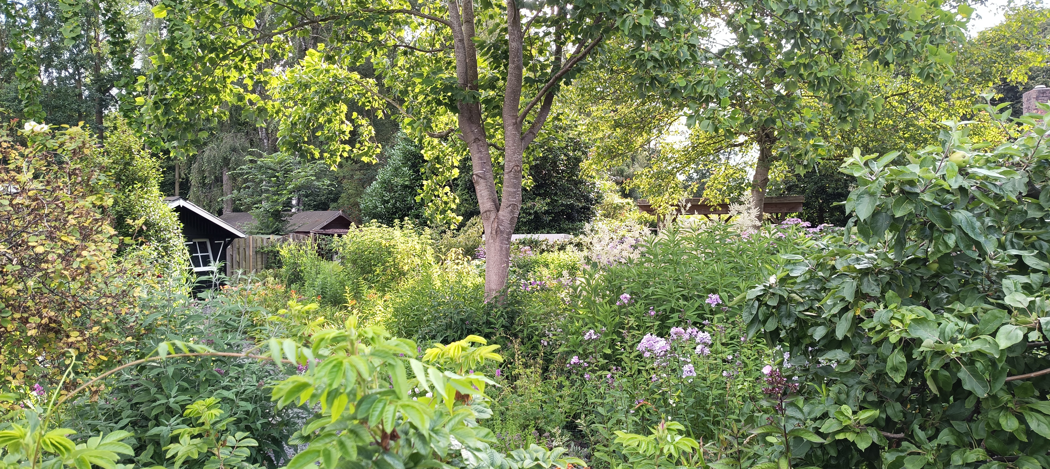 Tuin Taraxacum &amp; Urtica