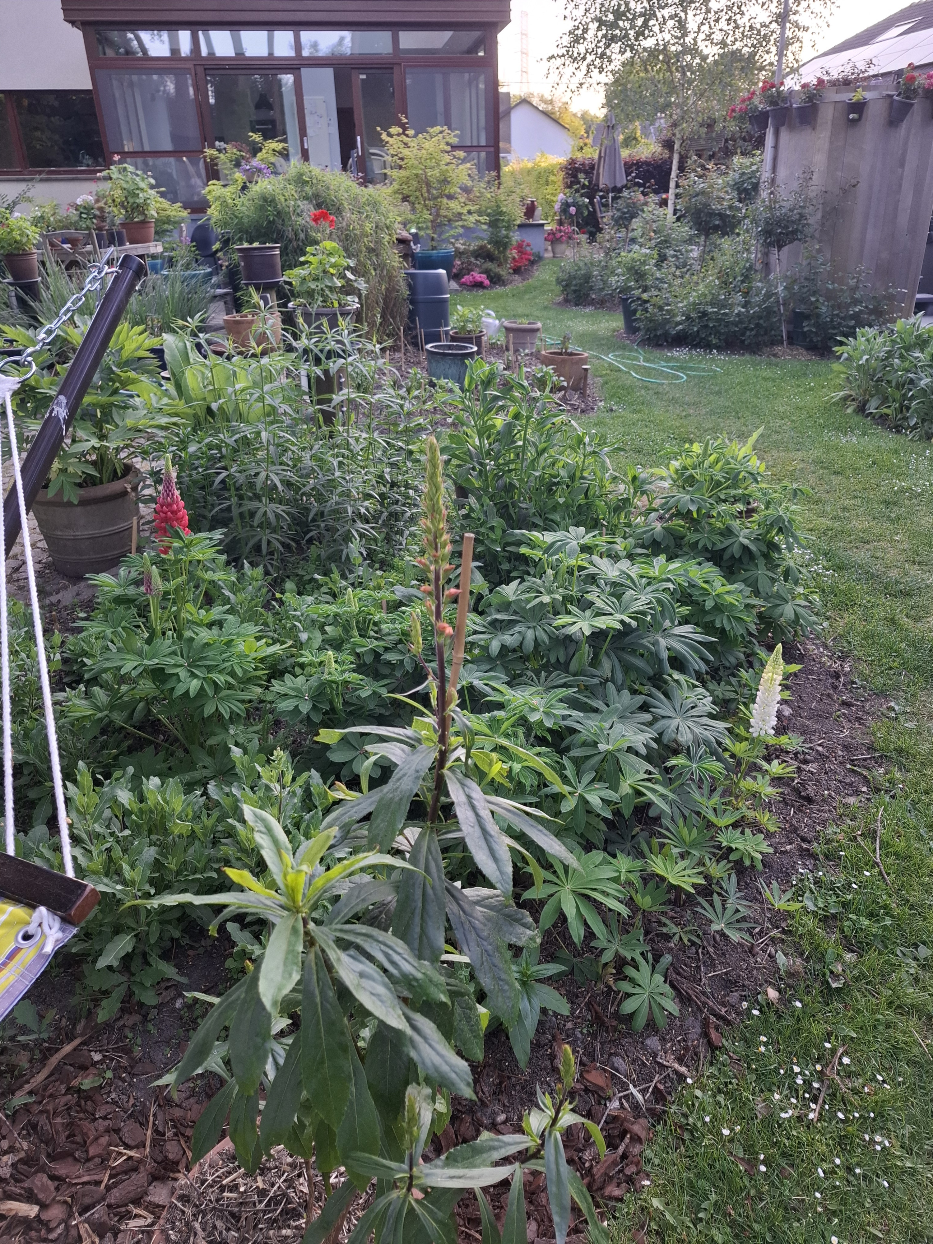 Tuin Jos Vanoppen