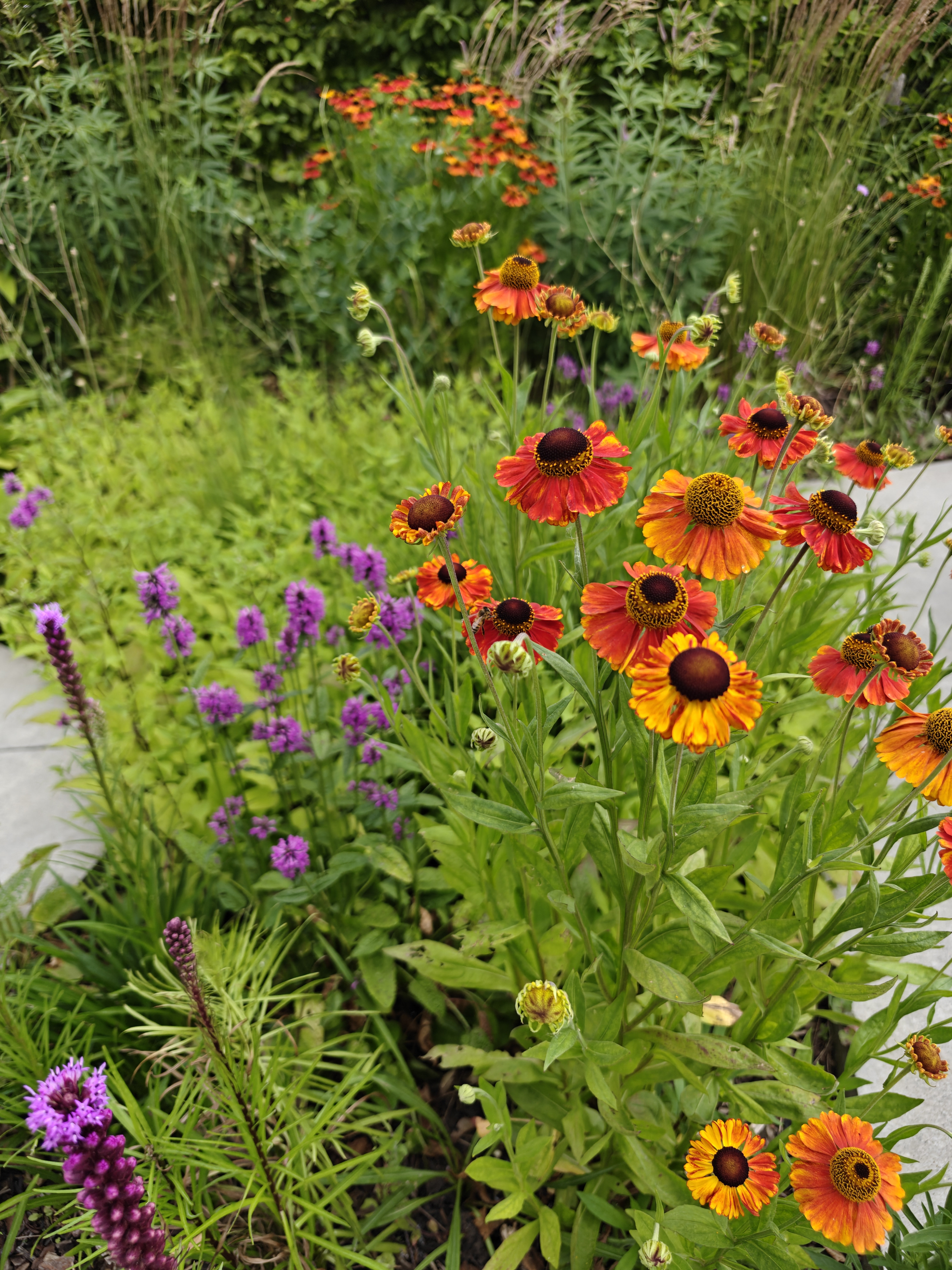 Tuin Kirsten Steensels
