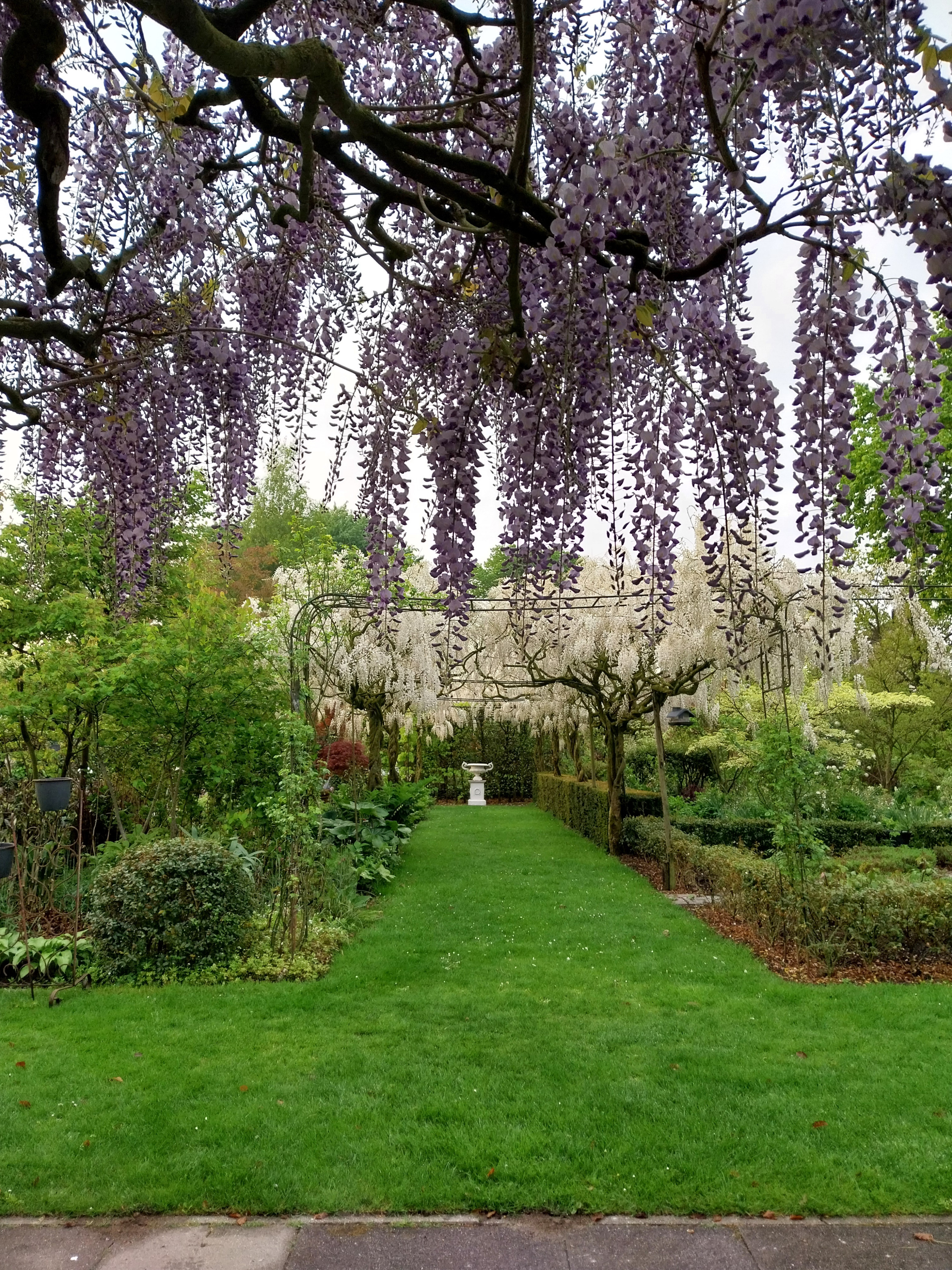 Tuin Meiraenhof
