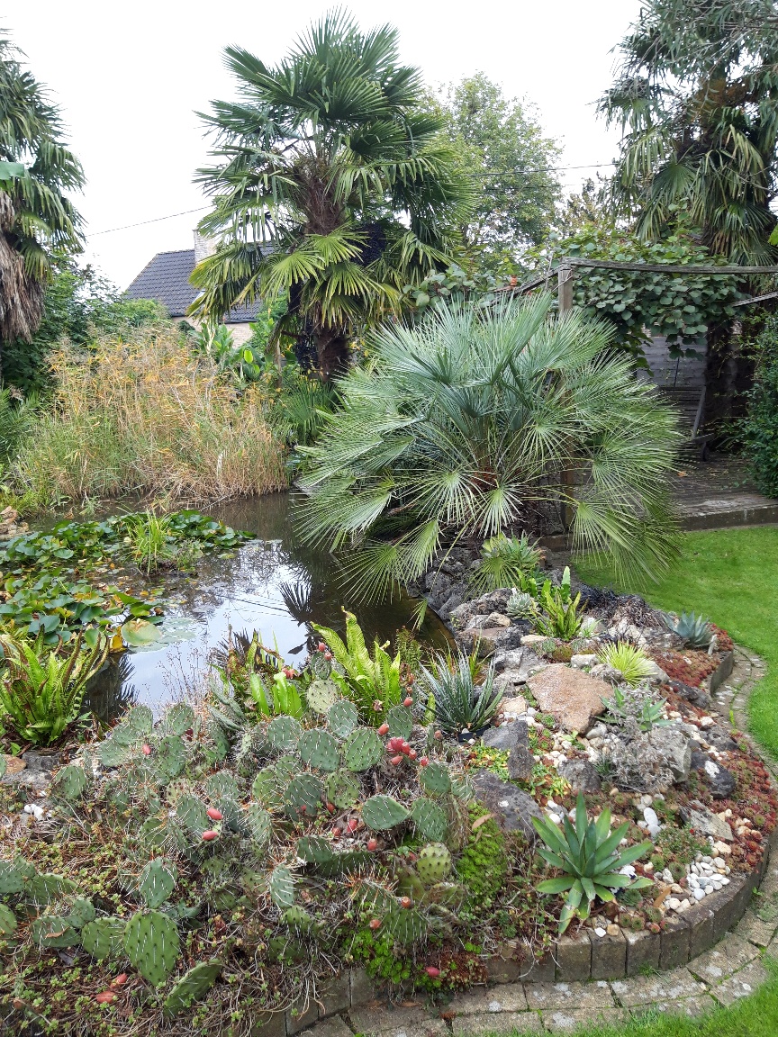Tuin Geert De Maerschalck