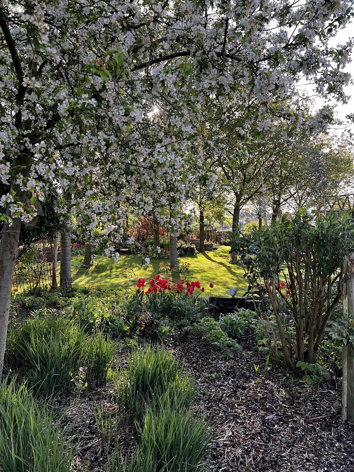 Tuin de Tuindokter