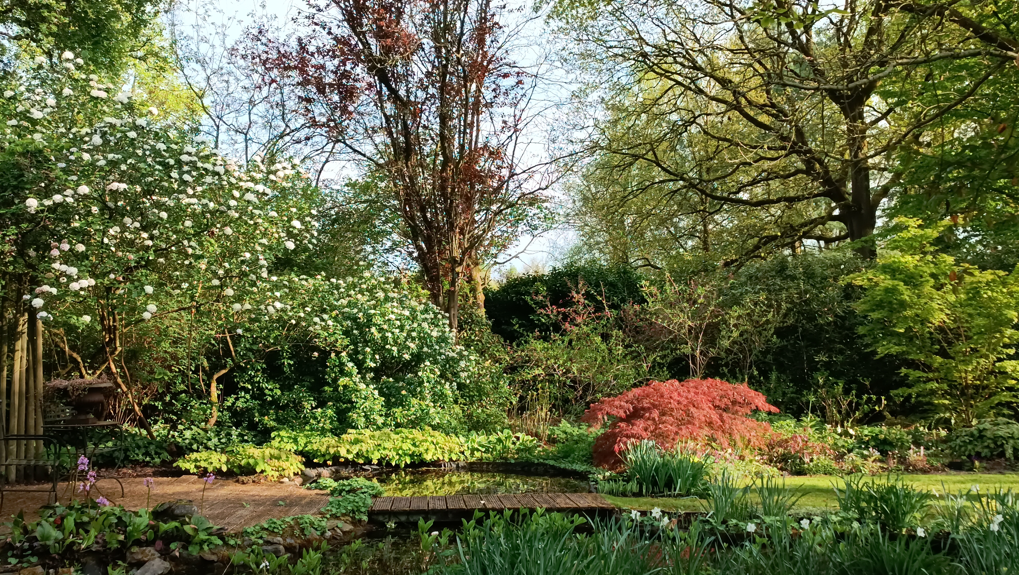 Tuin op de achtergrond