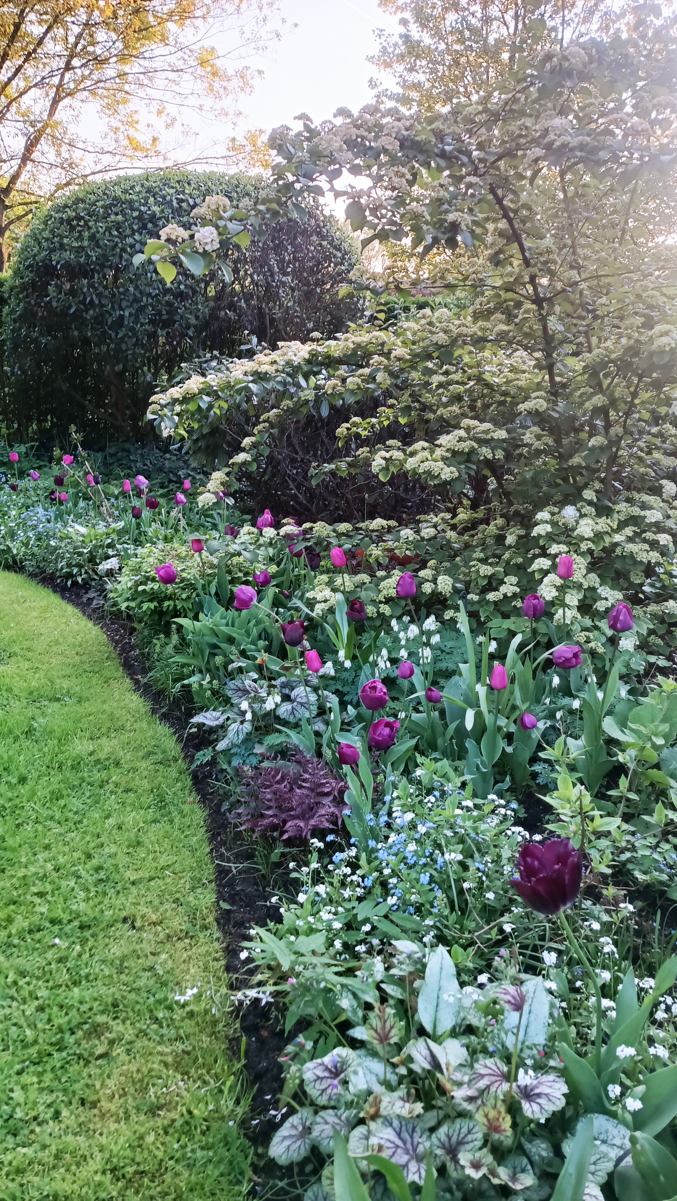 Tuin op de achtergrond