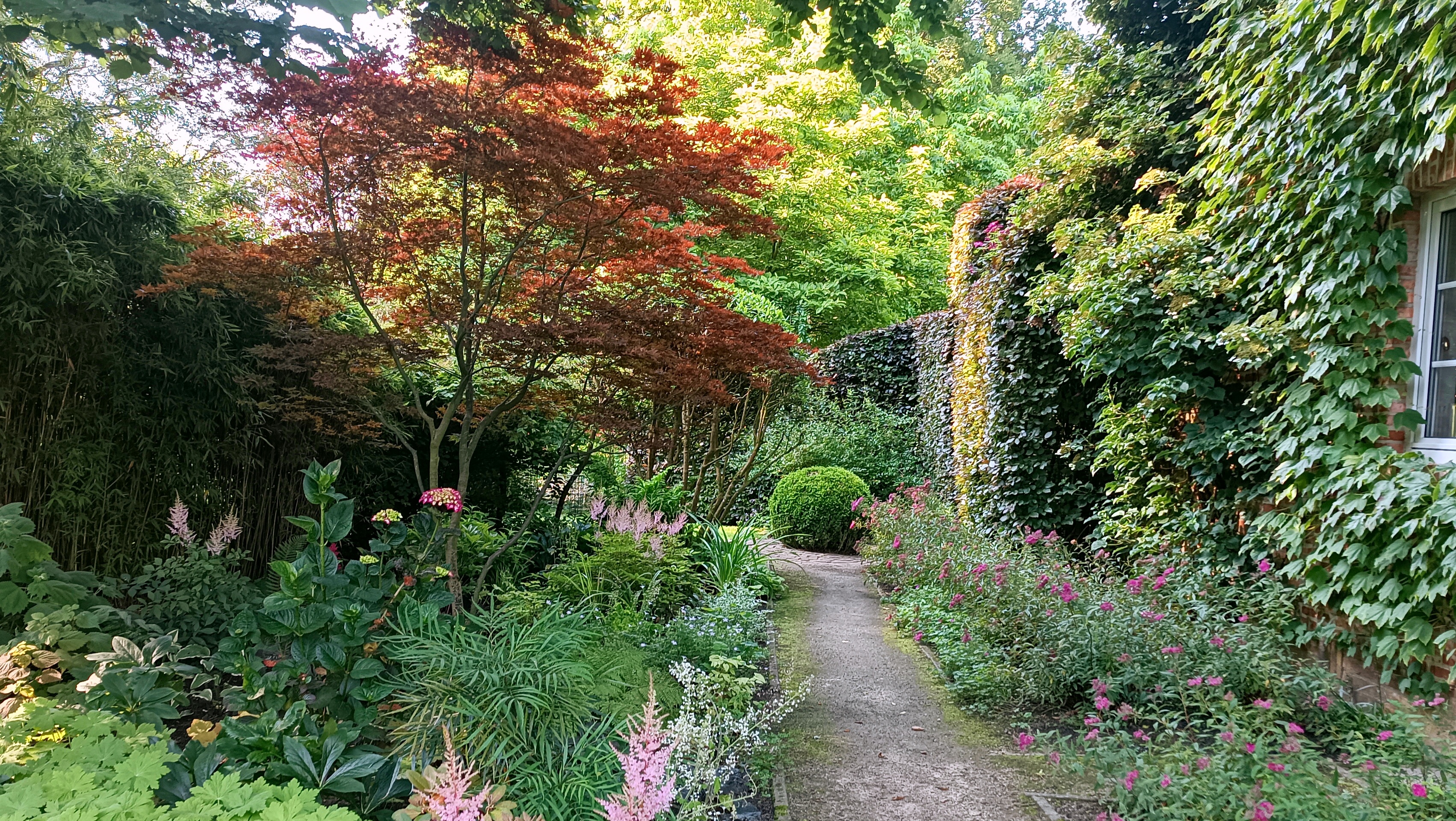 Tuin op de achtergrond