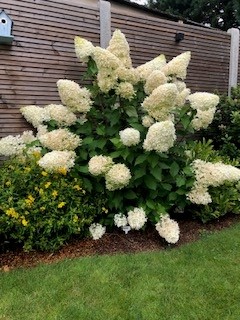 Tuin Leo Schoovaerts