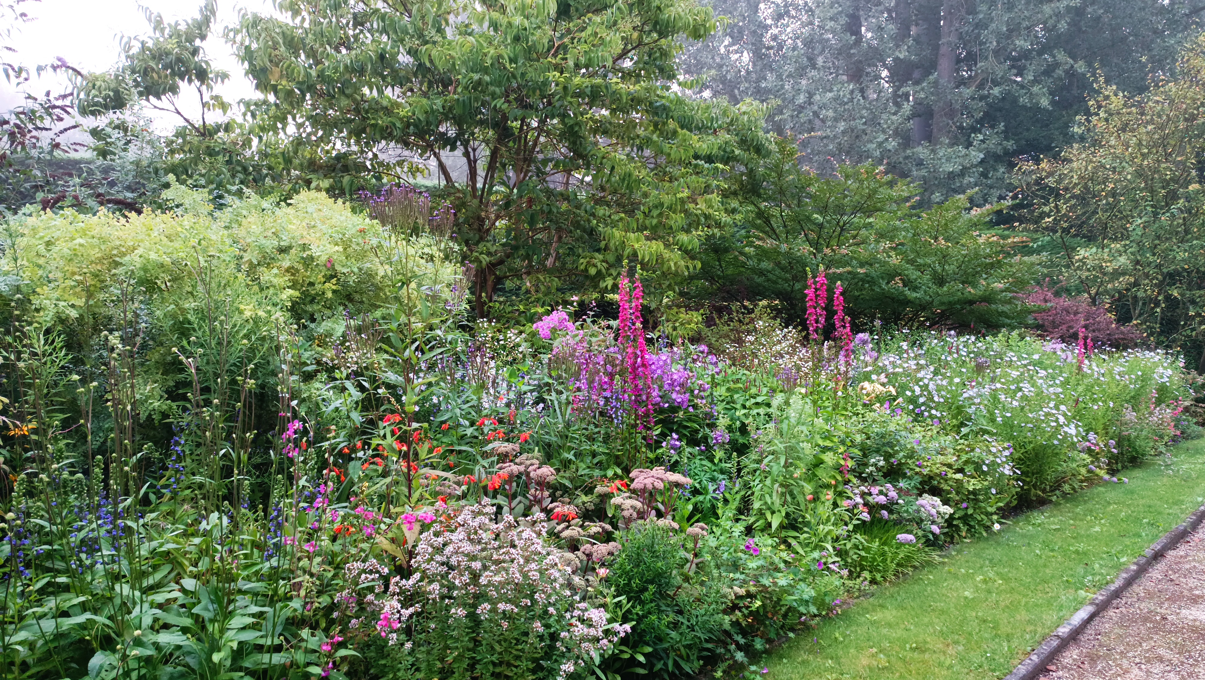 Tuin op de achtergrond