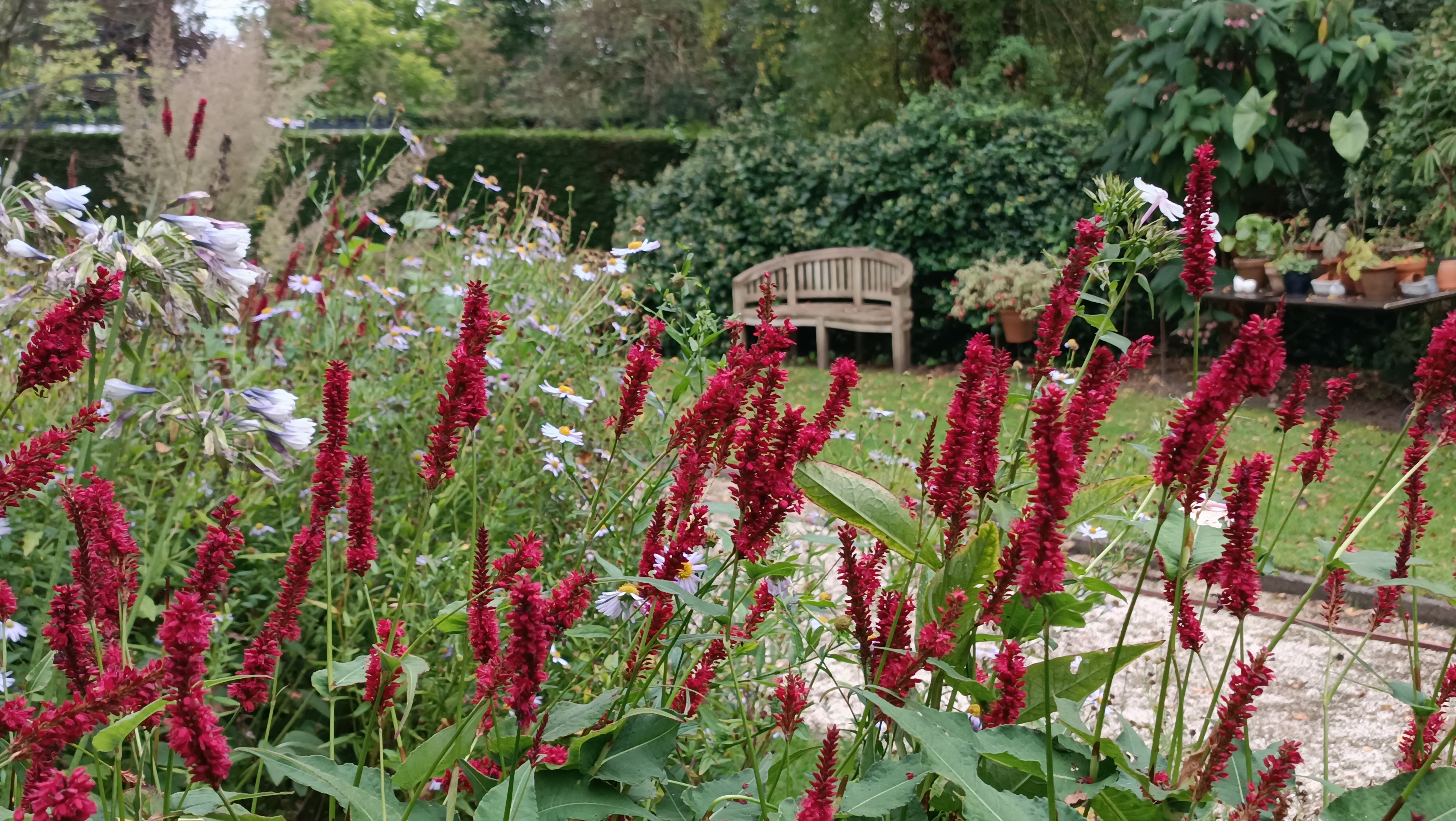 Tuin op de achtergrond