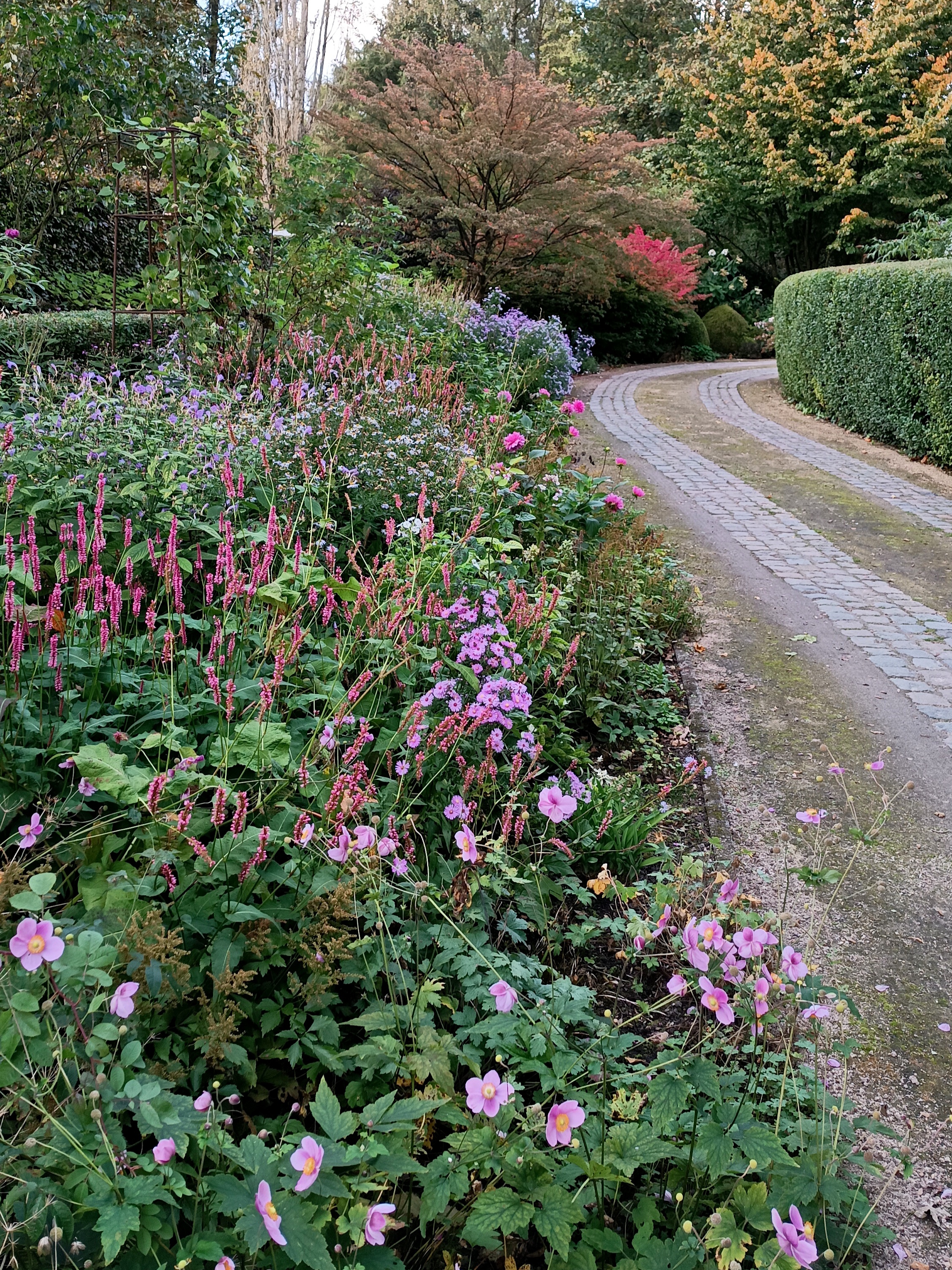 Tuin op de achtergrond