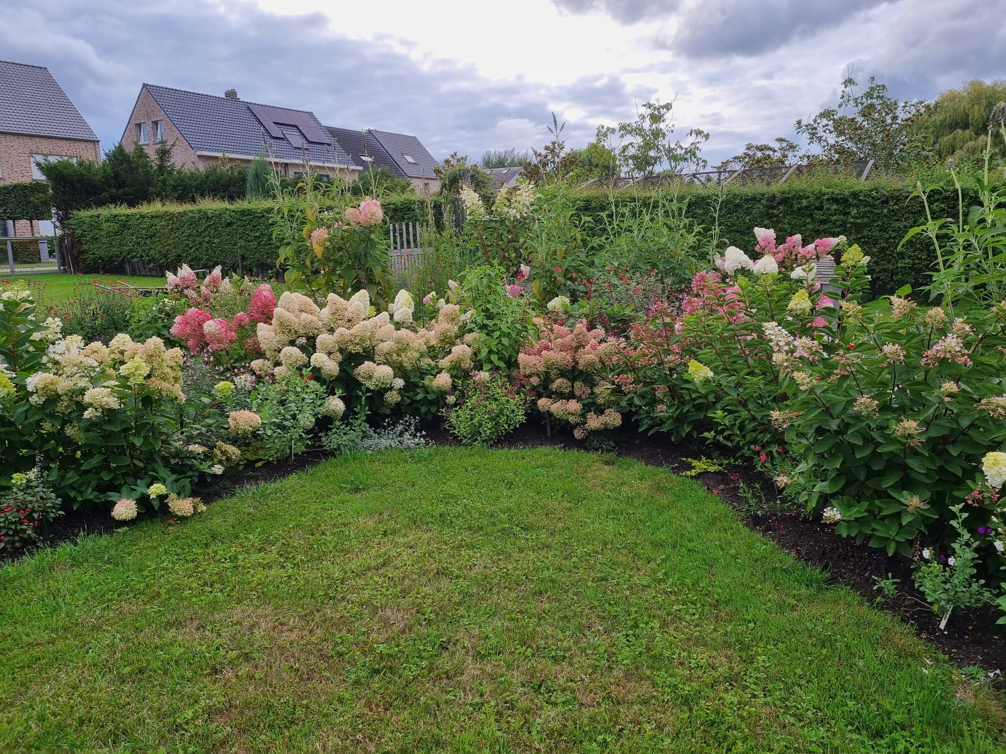 Tuin Hostapatio II