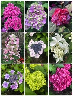 Tuin Leo Schoovaerts