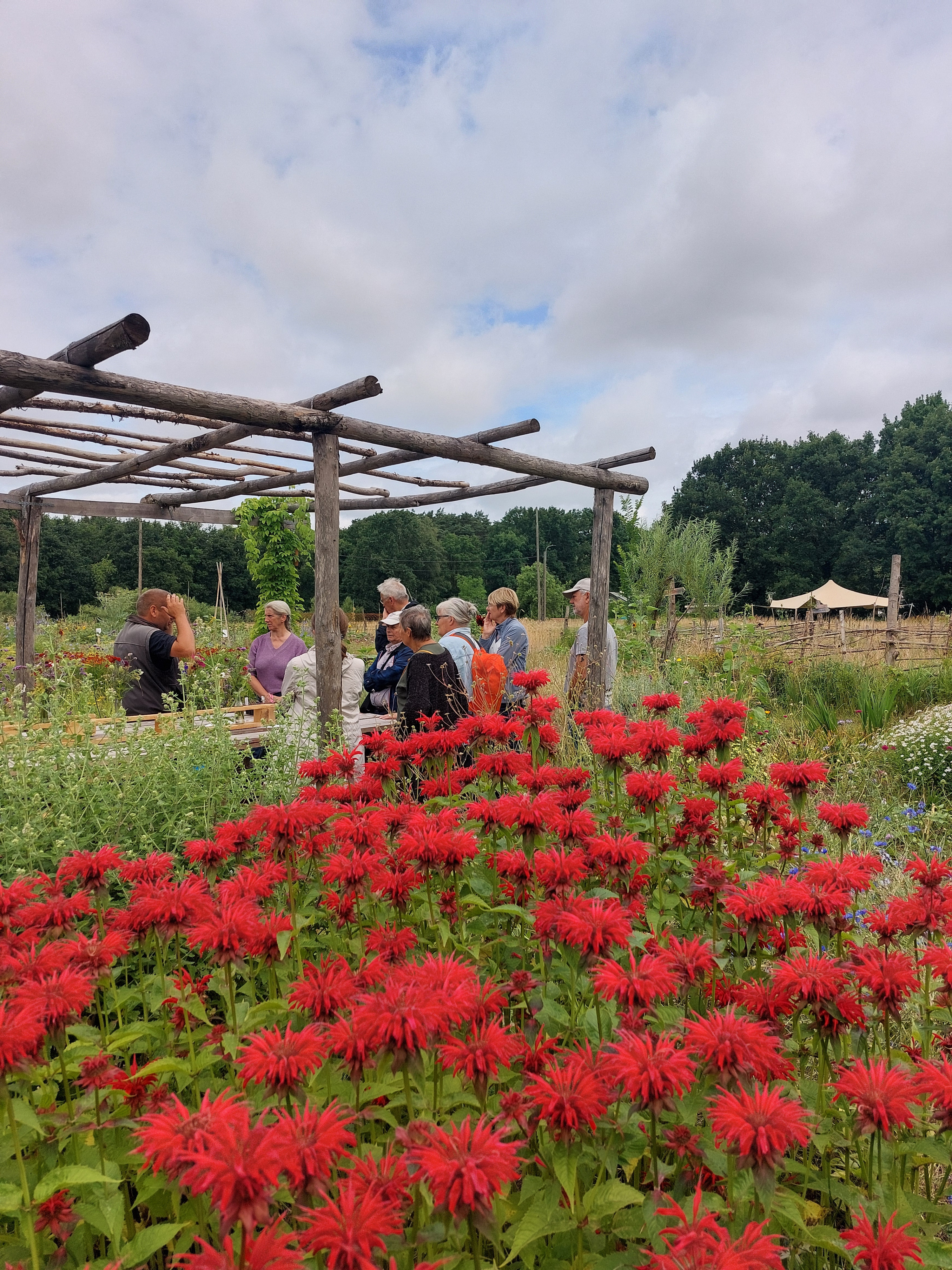 Tuin Ter Kruyslanden