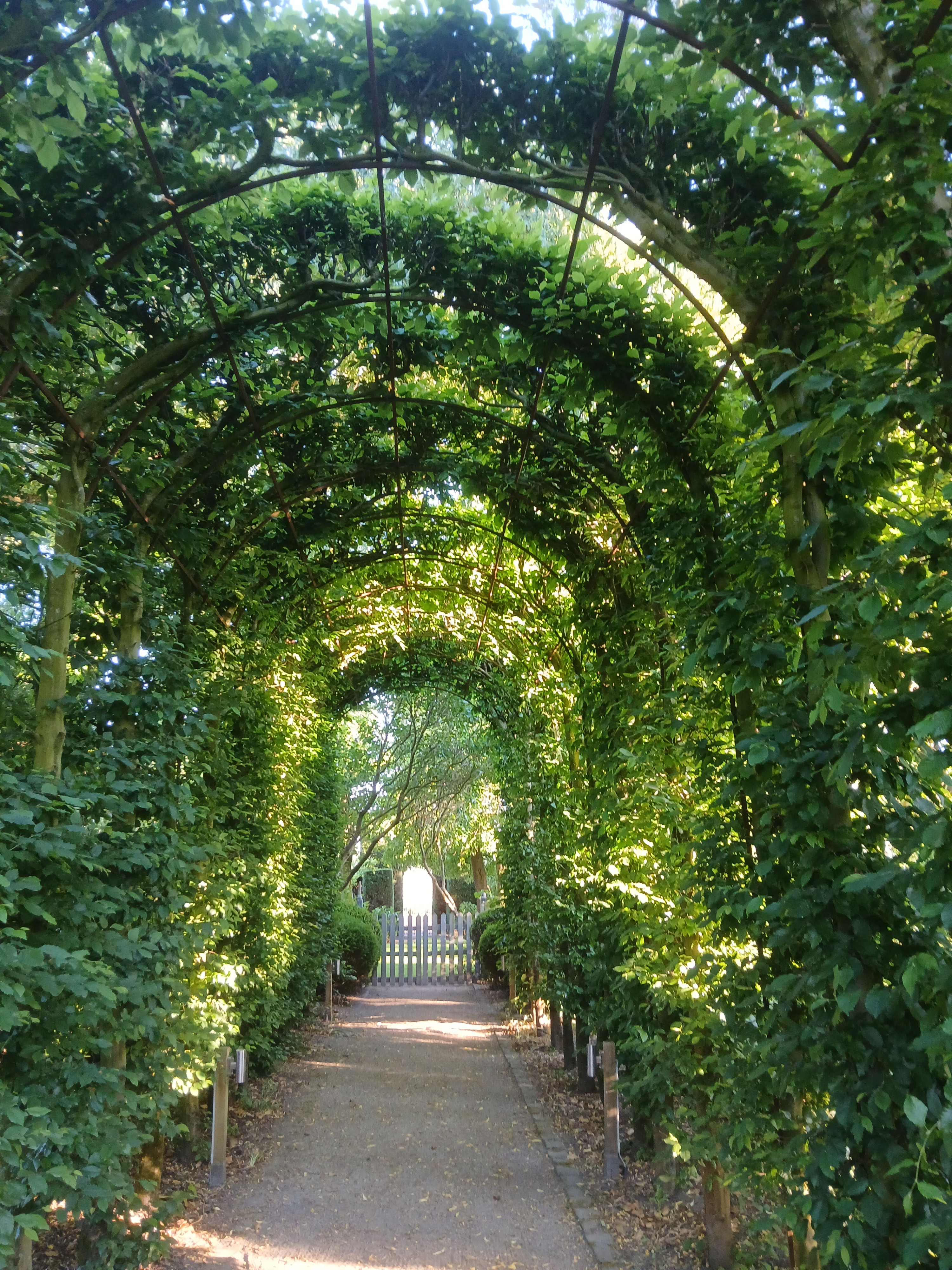 Tuin Dirk Van Rillaer