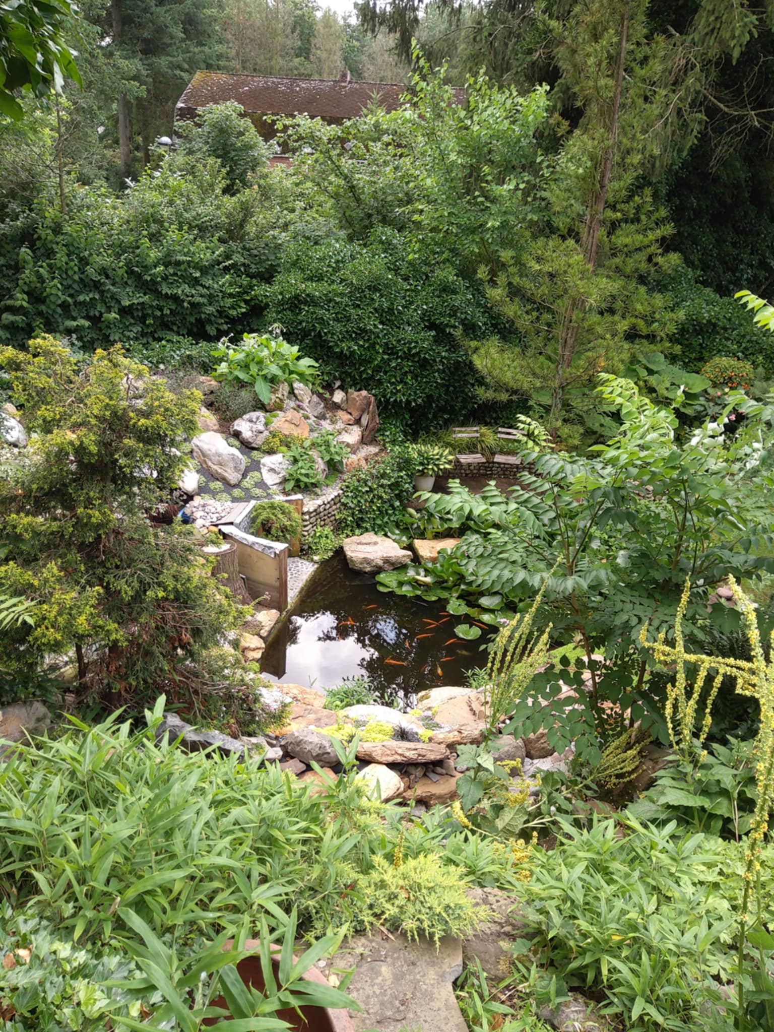 Tuin Willy Jannis