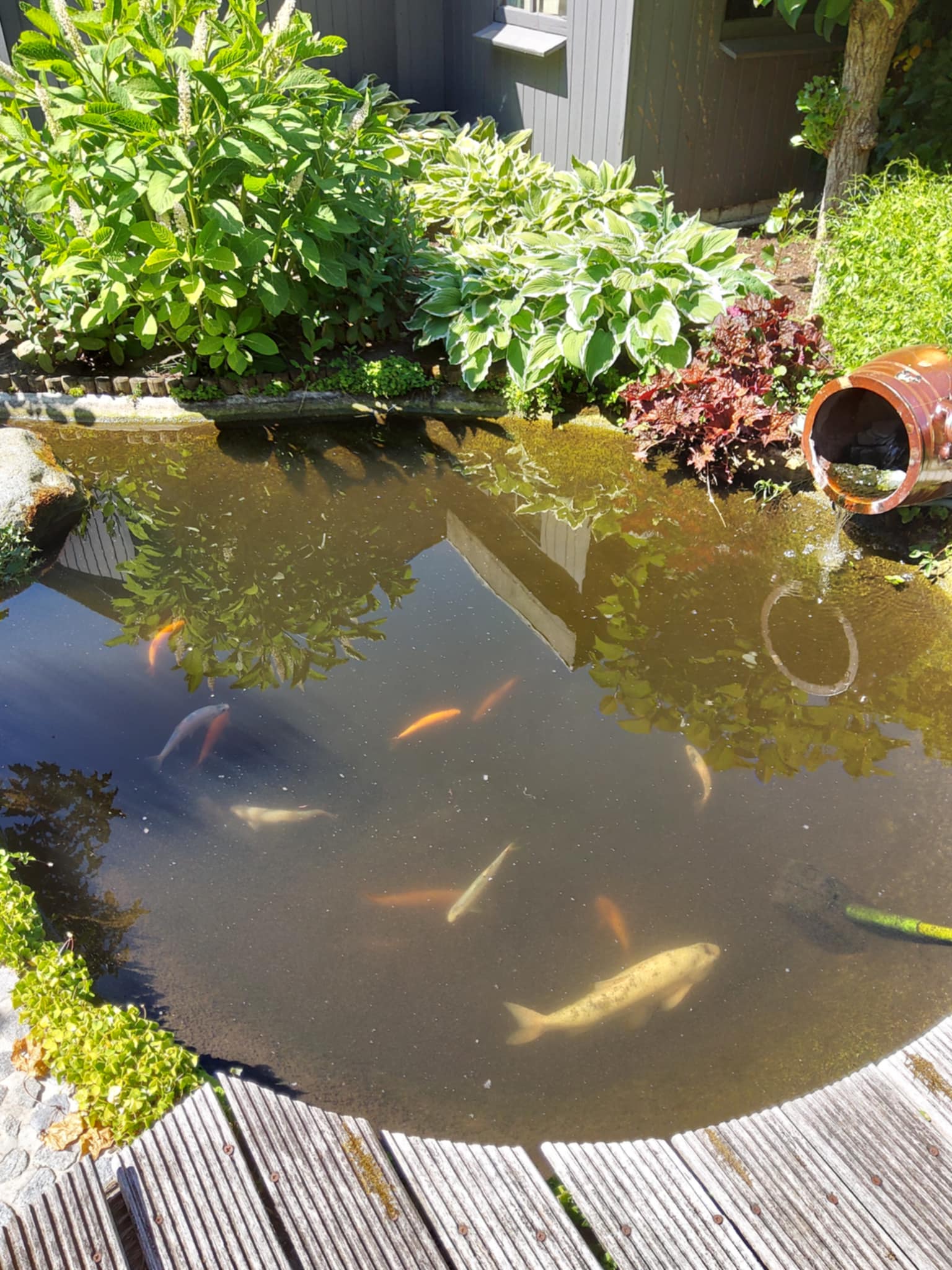 Tuin Willy Jannis