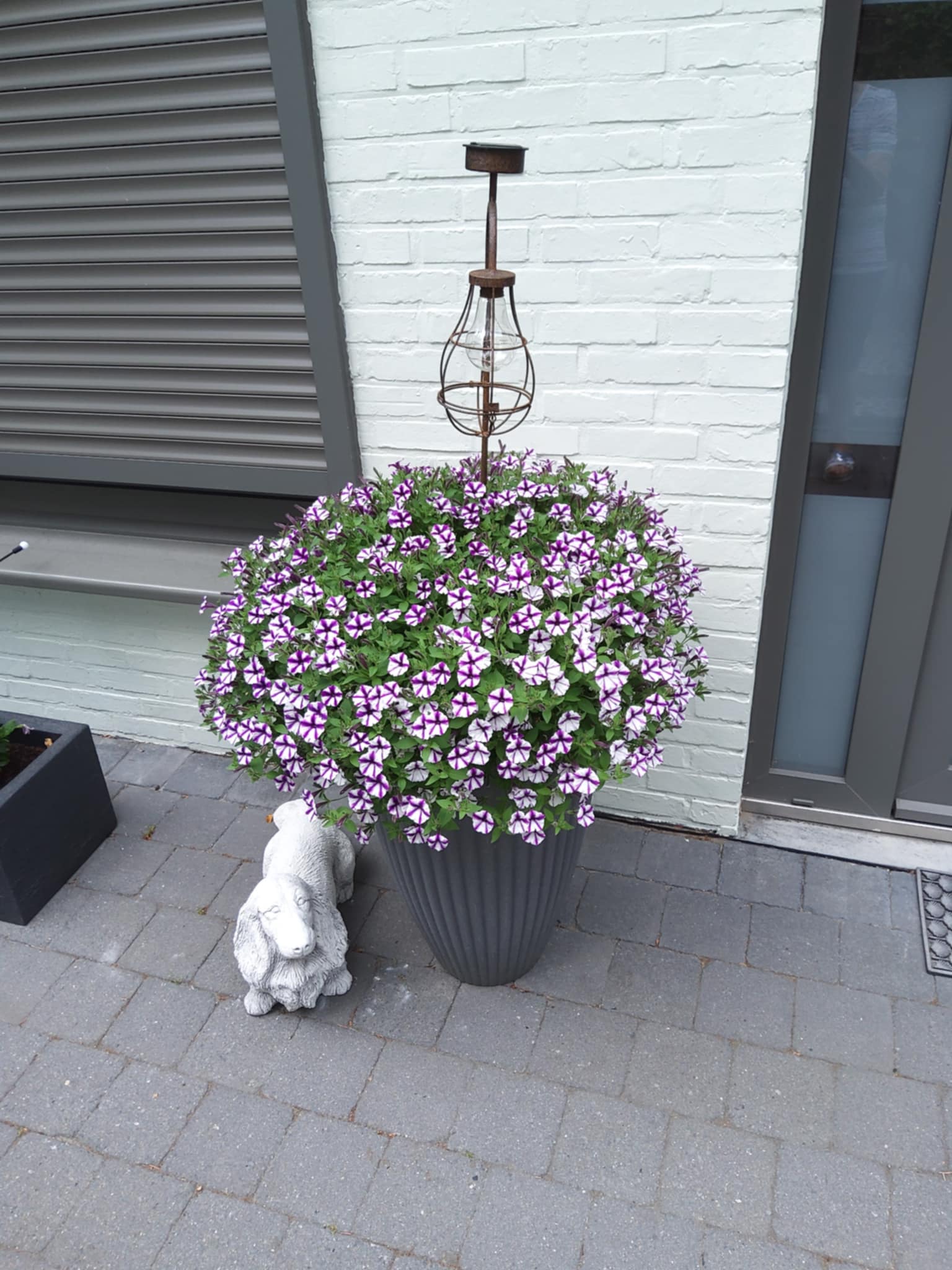 Tuin Willy Jannis