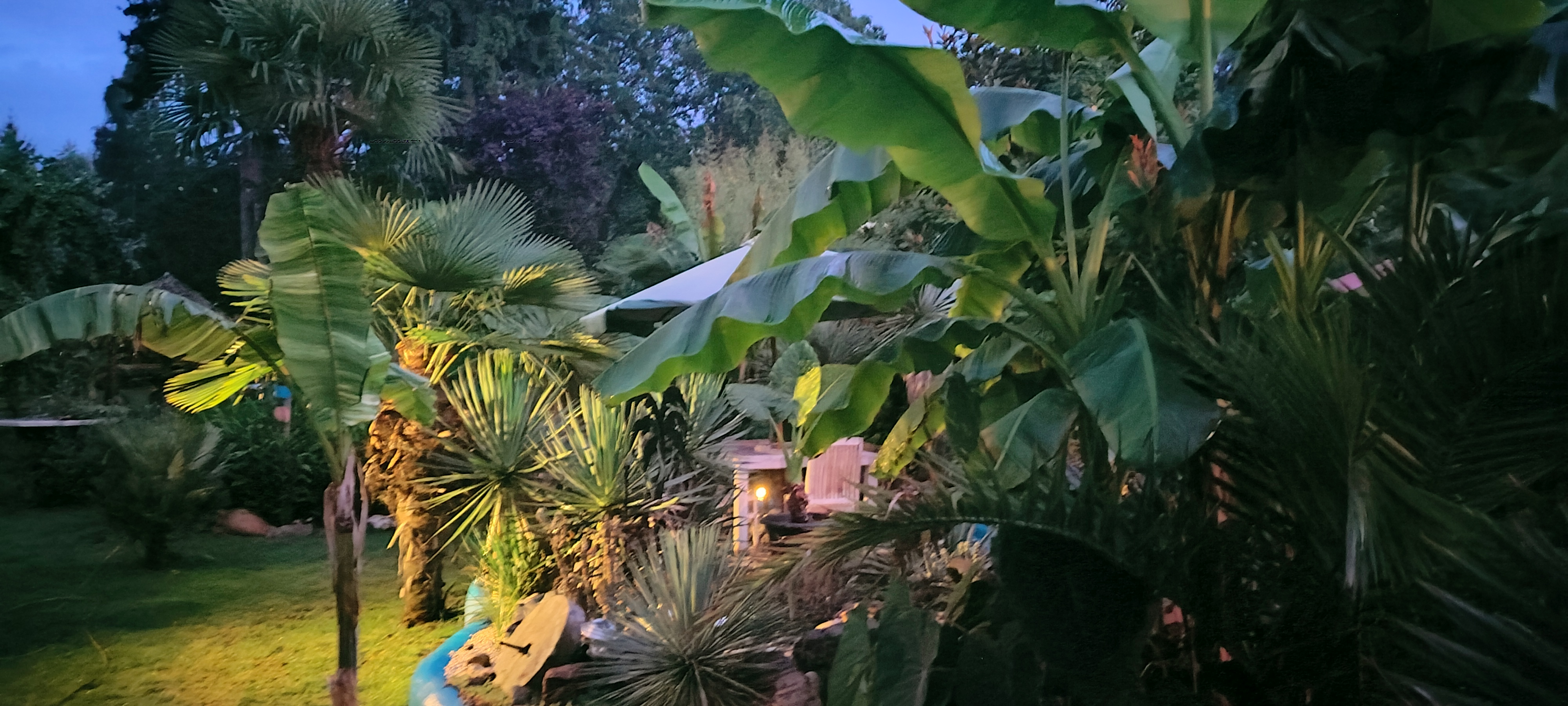 Tuin Johan Boeckmans