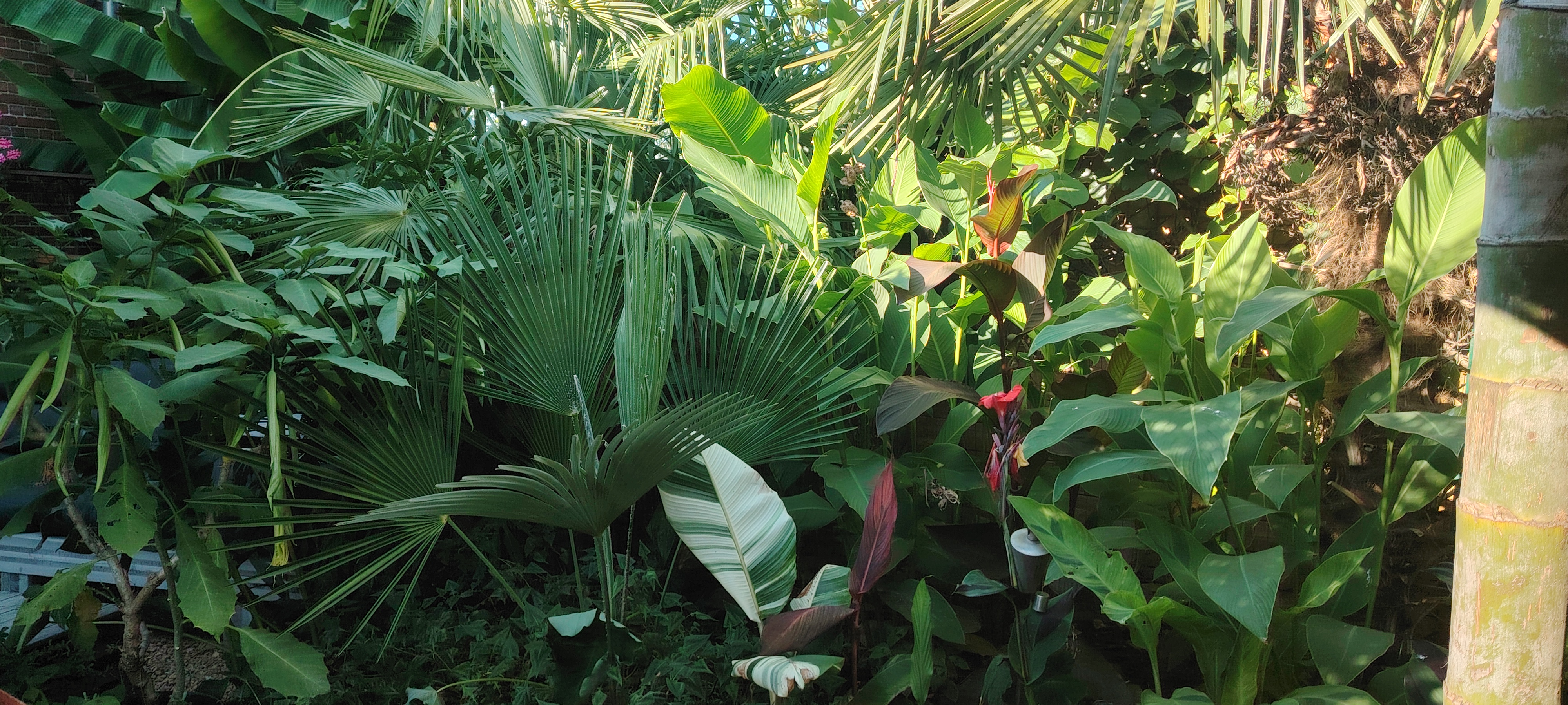 Tuin Johan Boeckmans