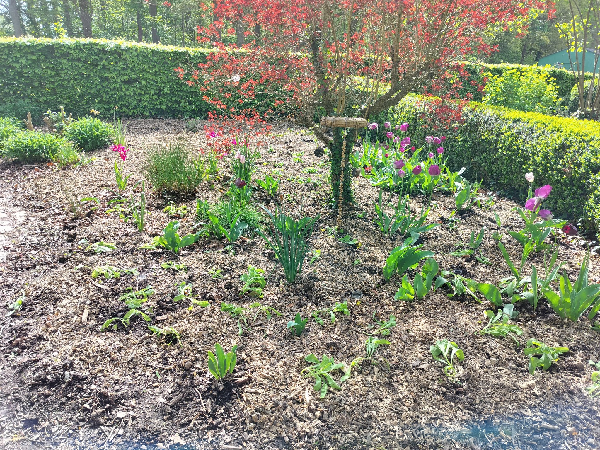 Tuin kasteelpark De lovie