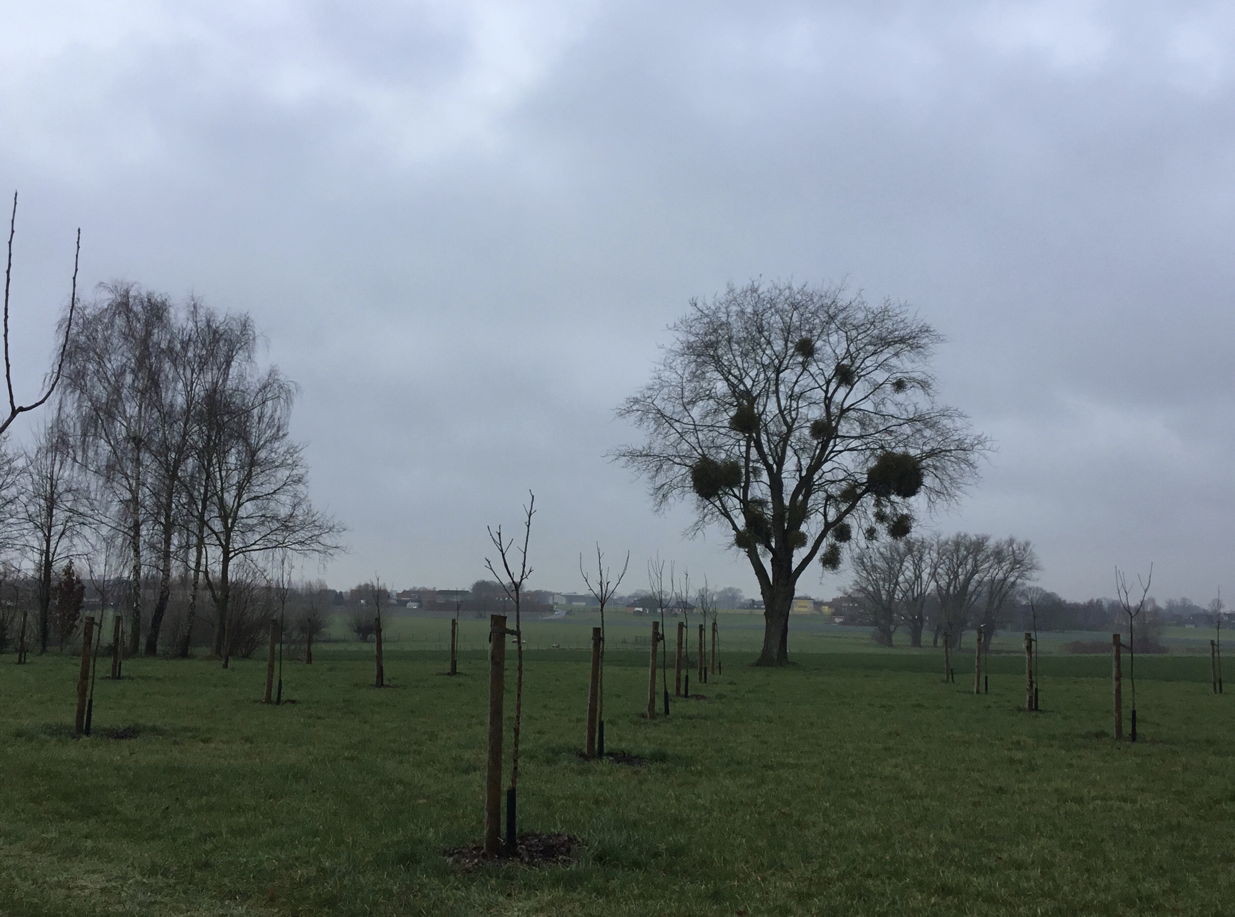 Tuin Hubert Vanacker