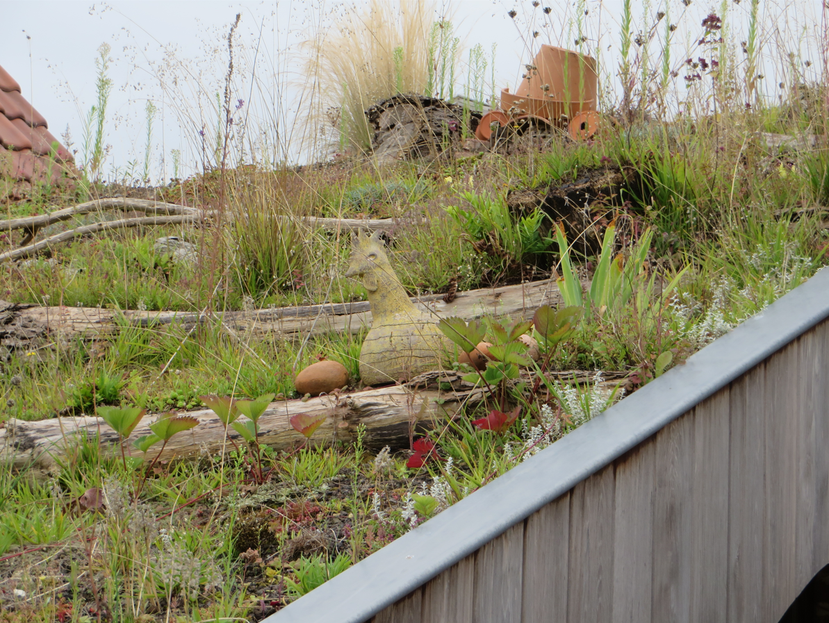 Tuin Gallery Nanda