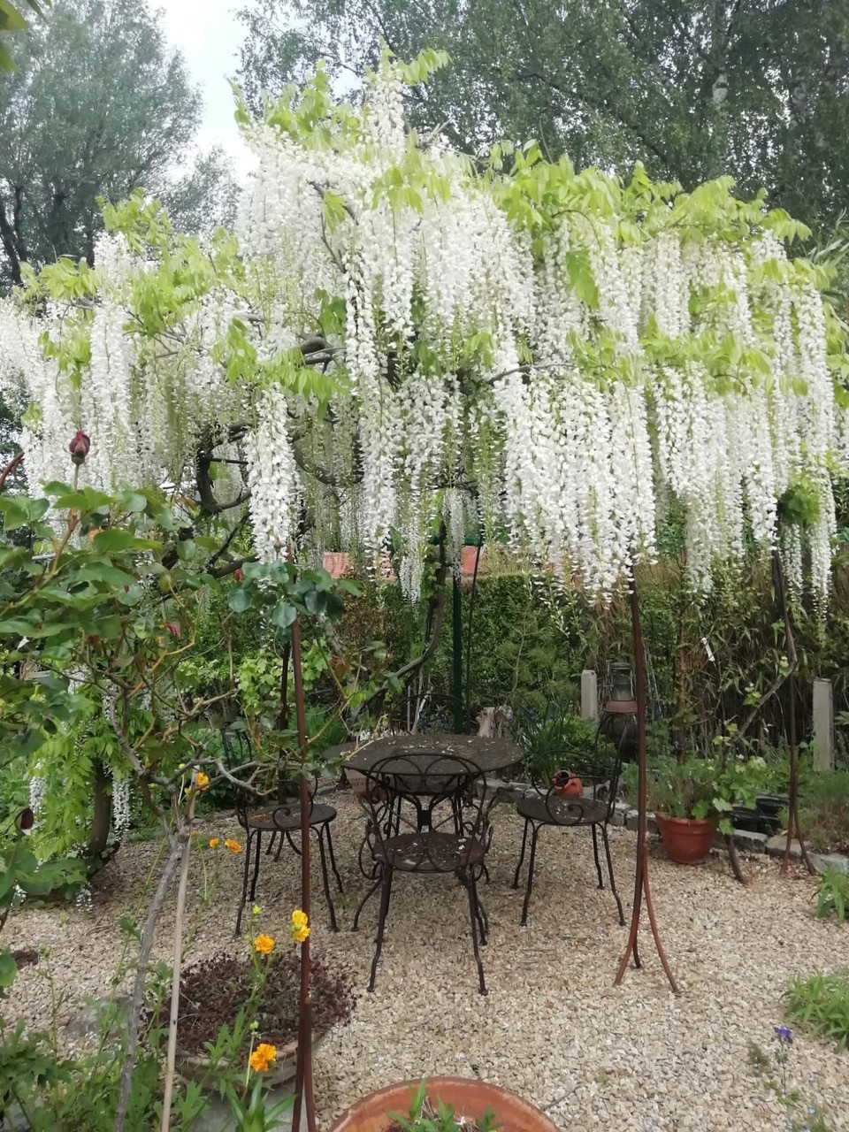 Tuin Bruno en Sigrid