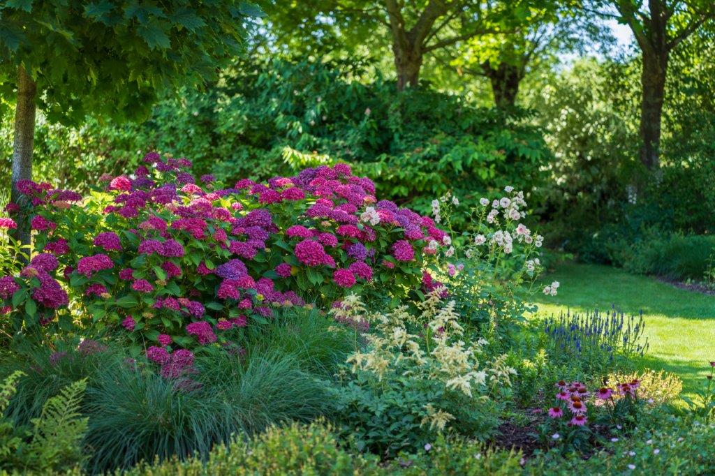 Tuin Johan Vandermarliere