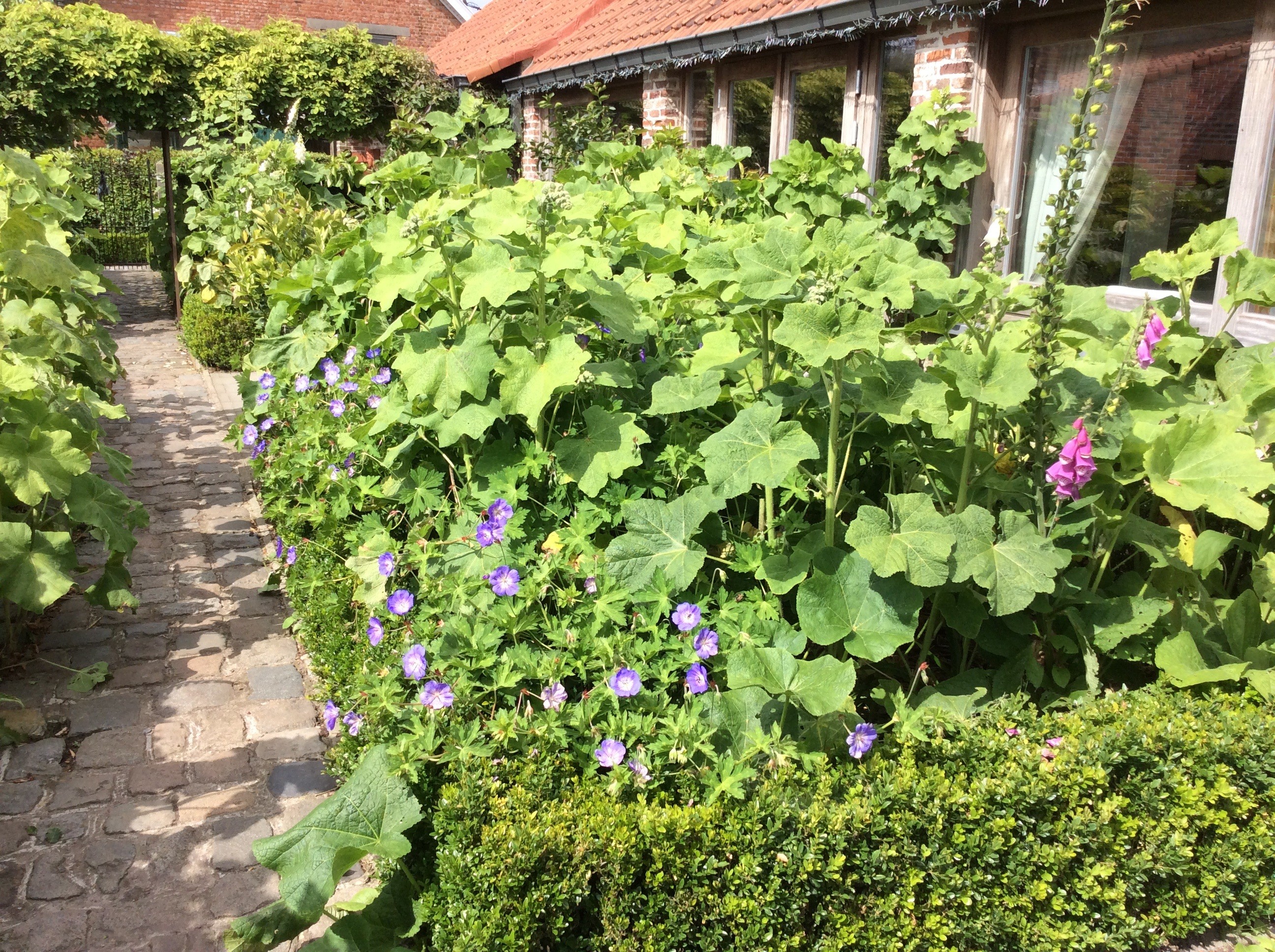 Tuin Jozef en Ingrid Parewijck