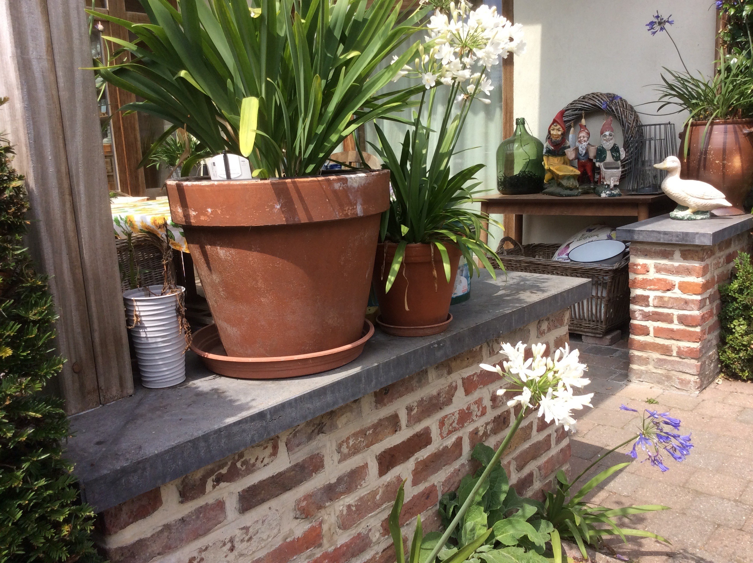 Tuin Jozef en Ingrid Parewijck