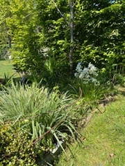 Tuin Caroline Verbeeck