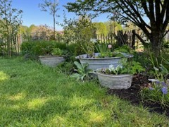 Tuin Caroline Verbeeck